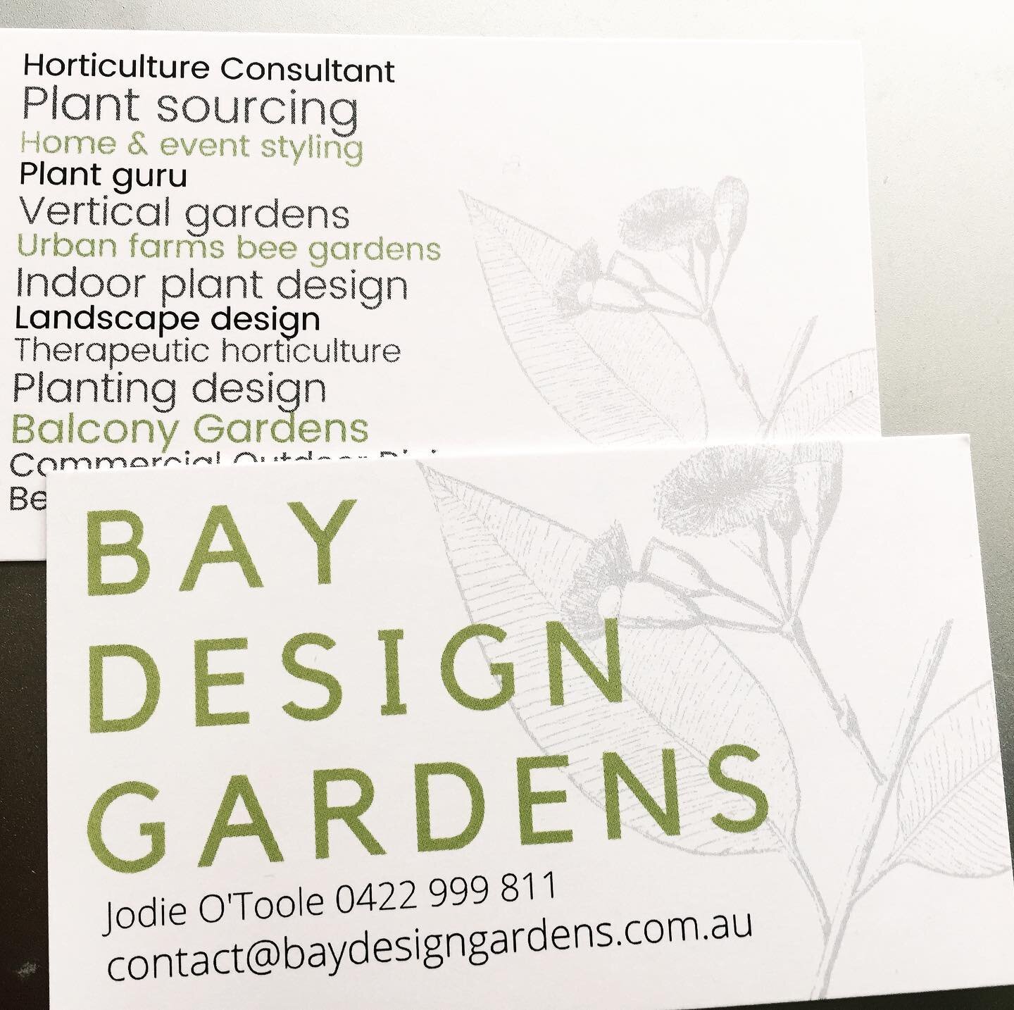 All big things have small beginnings and here it is. Bay Design Gardens is about to launch 🌿
More news coming soon. 
.
.
.
.
#horticultureconsultant 
#plantsourcing 
#qualifiedhorticulturist 
#popupgardens 
#gardenmakeovers 
#landscapedesign 
#plant