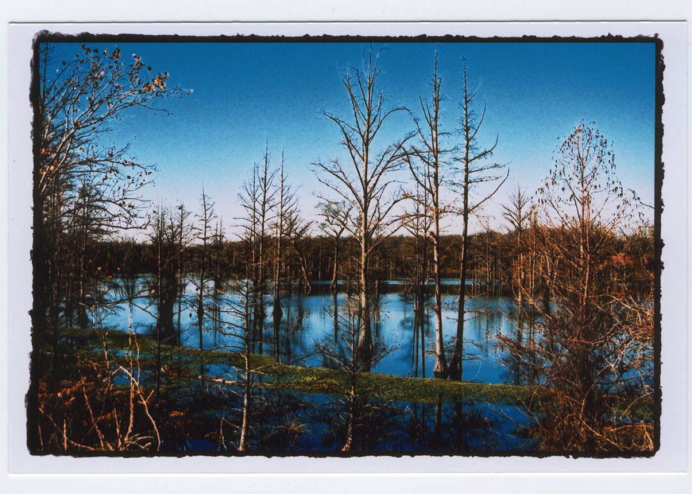 arkansas river 1.jpg