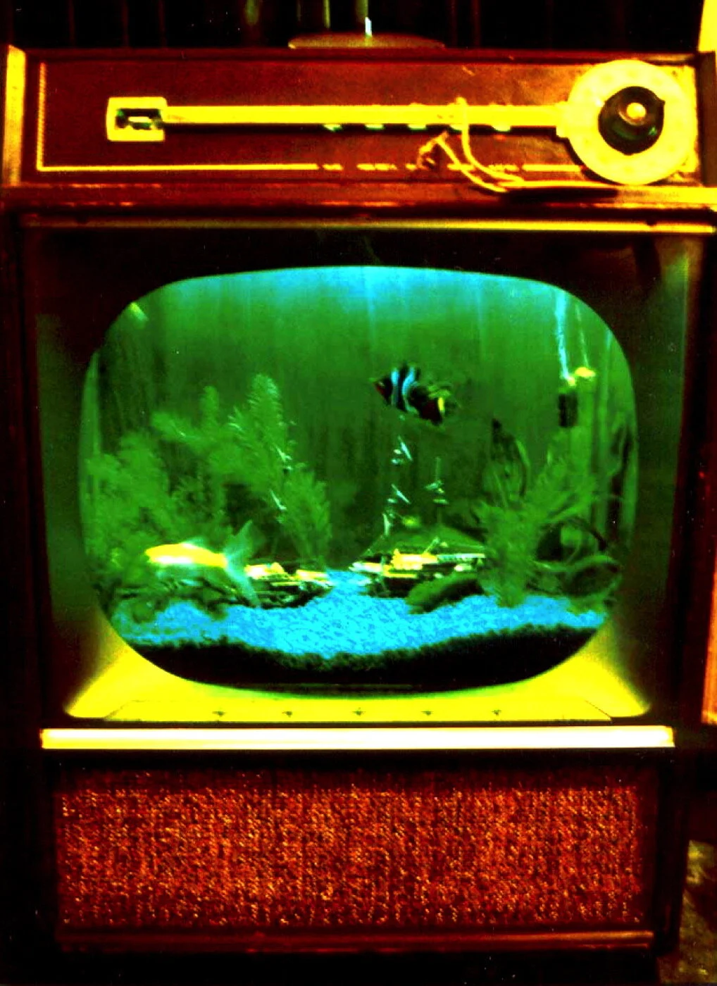 fish aquarium in tv - revised 1.jpg