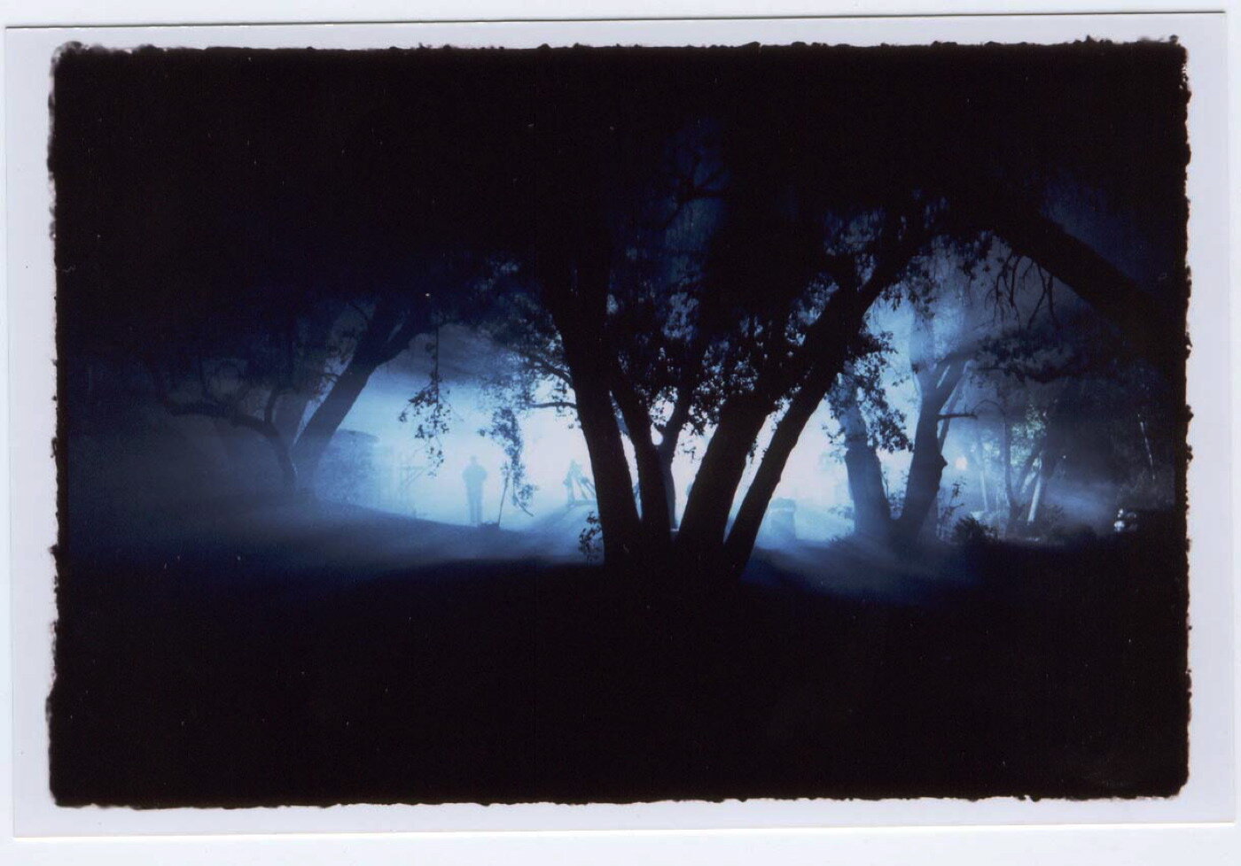 dark forest x-files.jpg