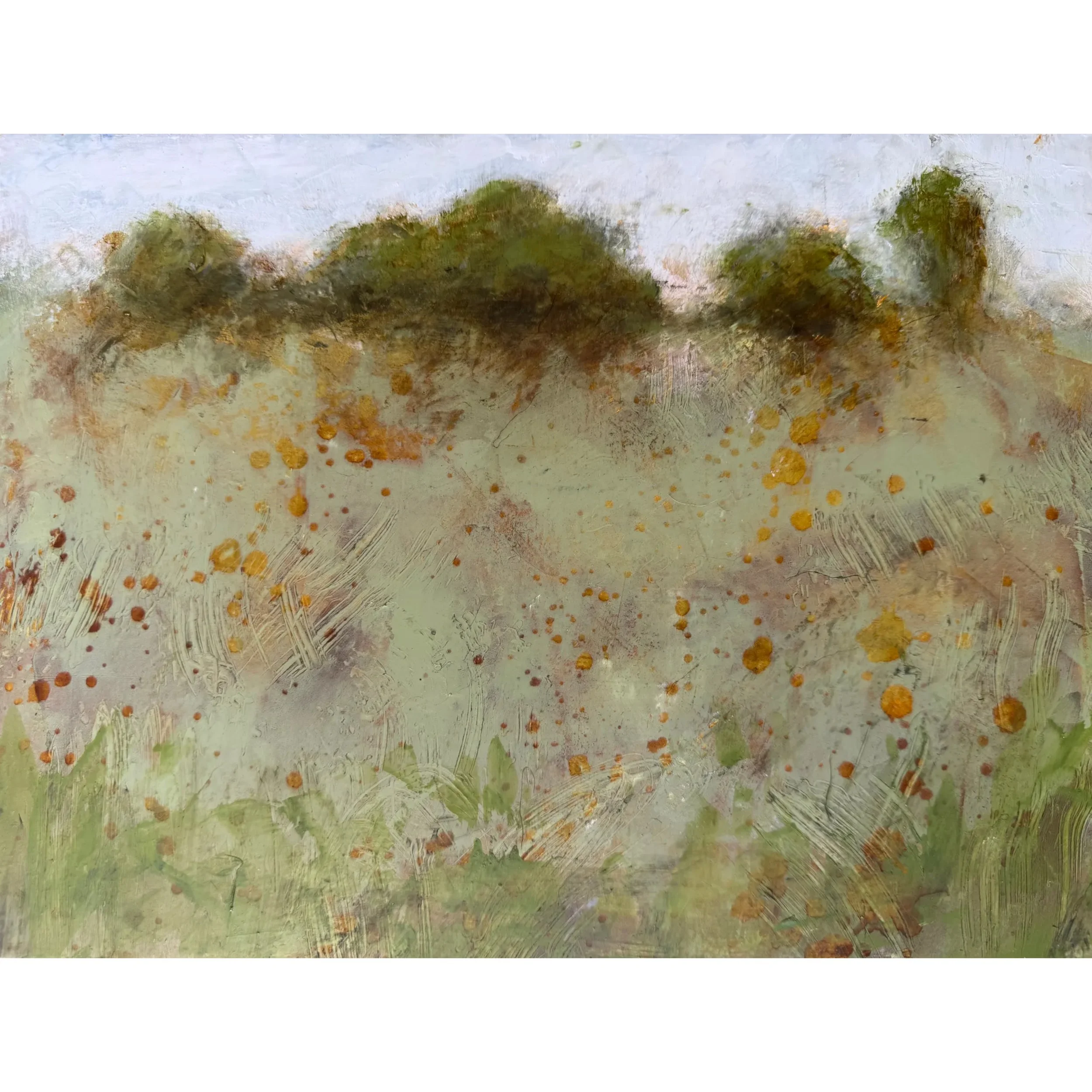 Early Autumn Thoughts