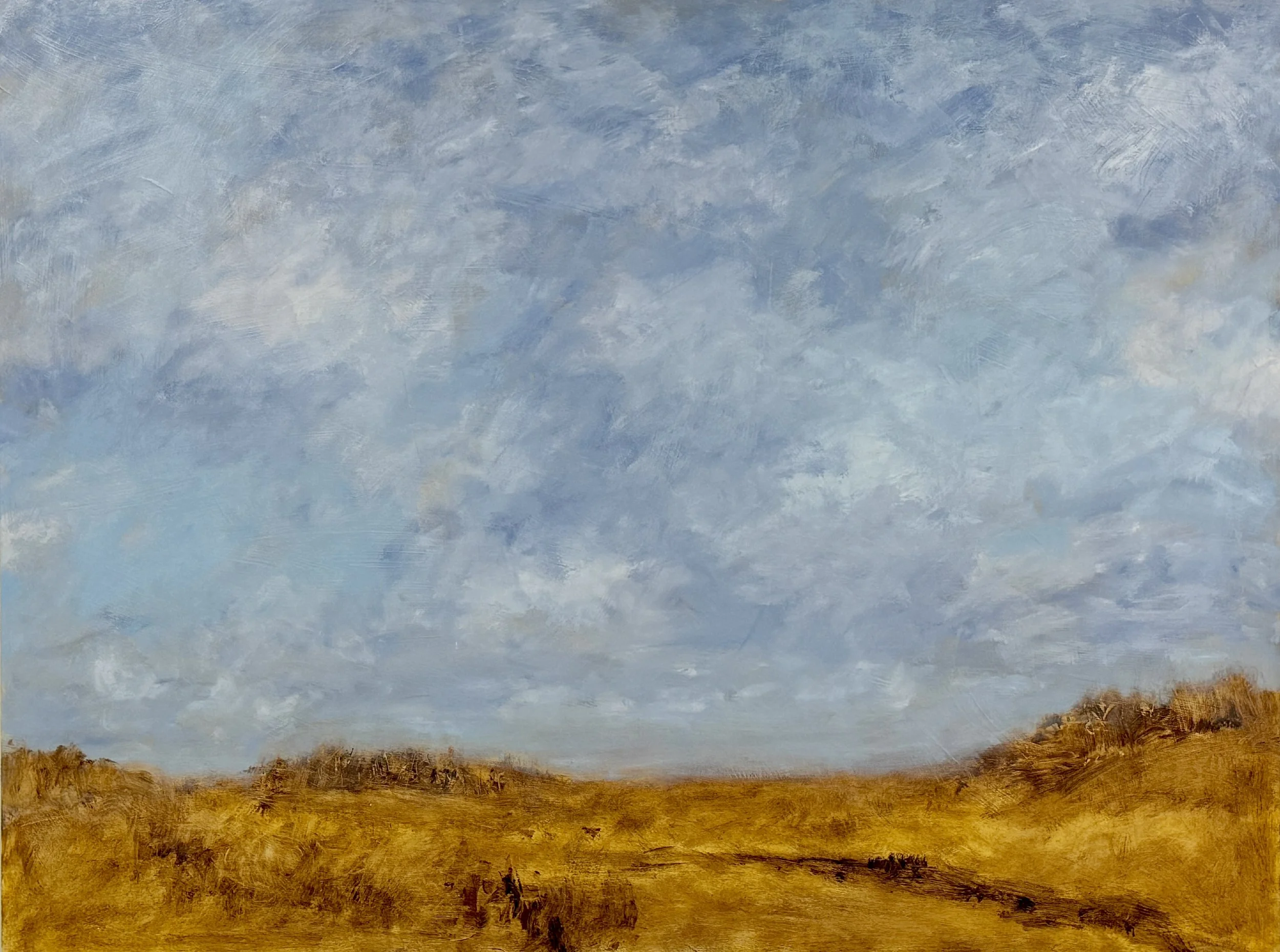 "Golden Fields Rest Under Endless Blue Skies" 40" x 30"