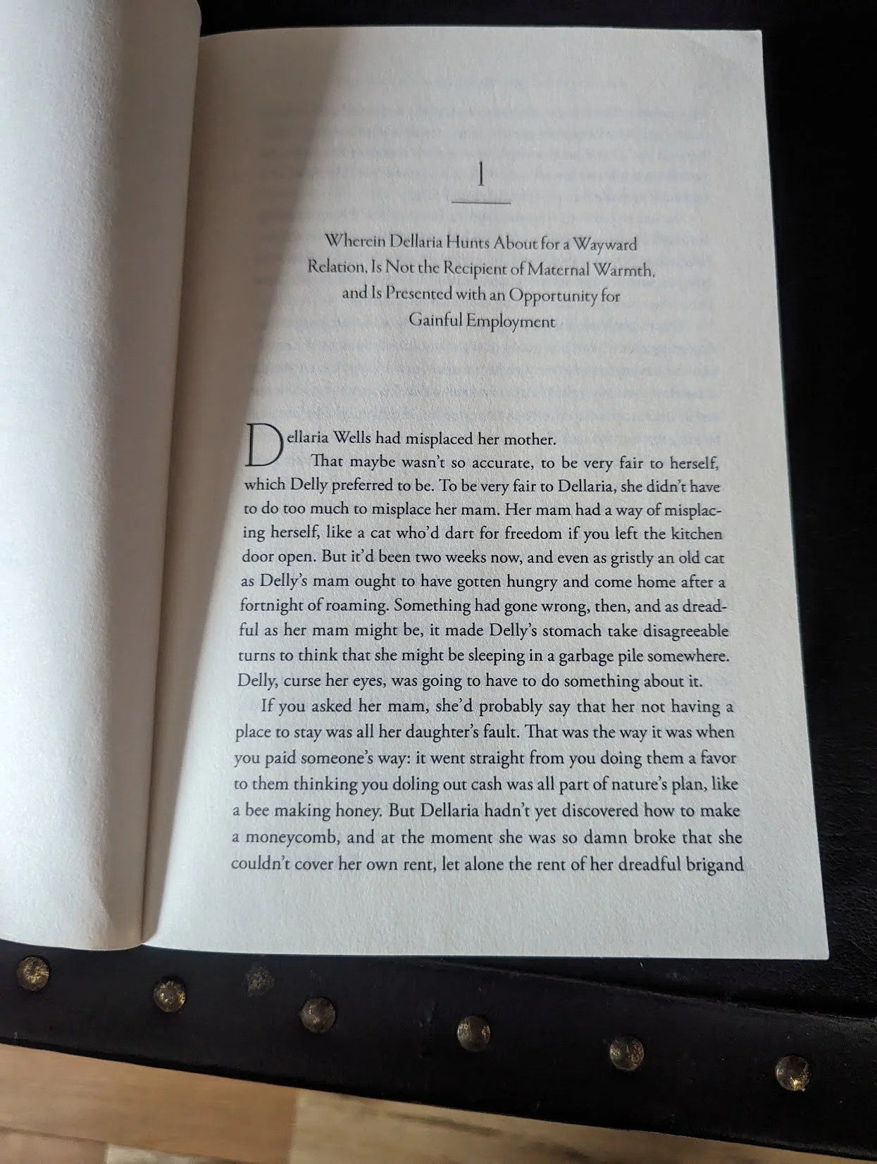 First Chapter of The Ruthless Lady's Guide to Wizardry by S.M. Waggoner gaslamp fantasy sapphic book