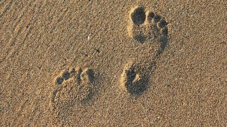 Footprints
