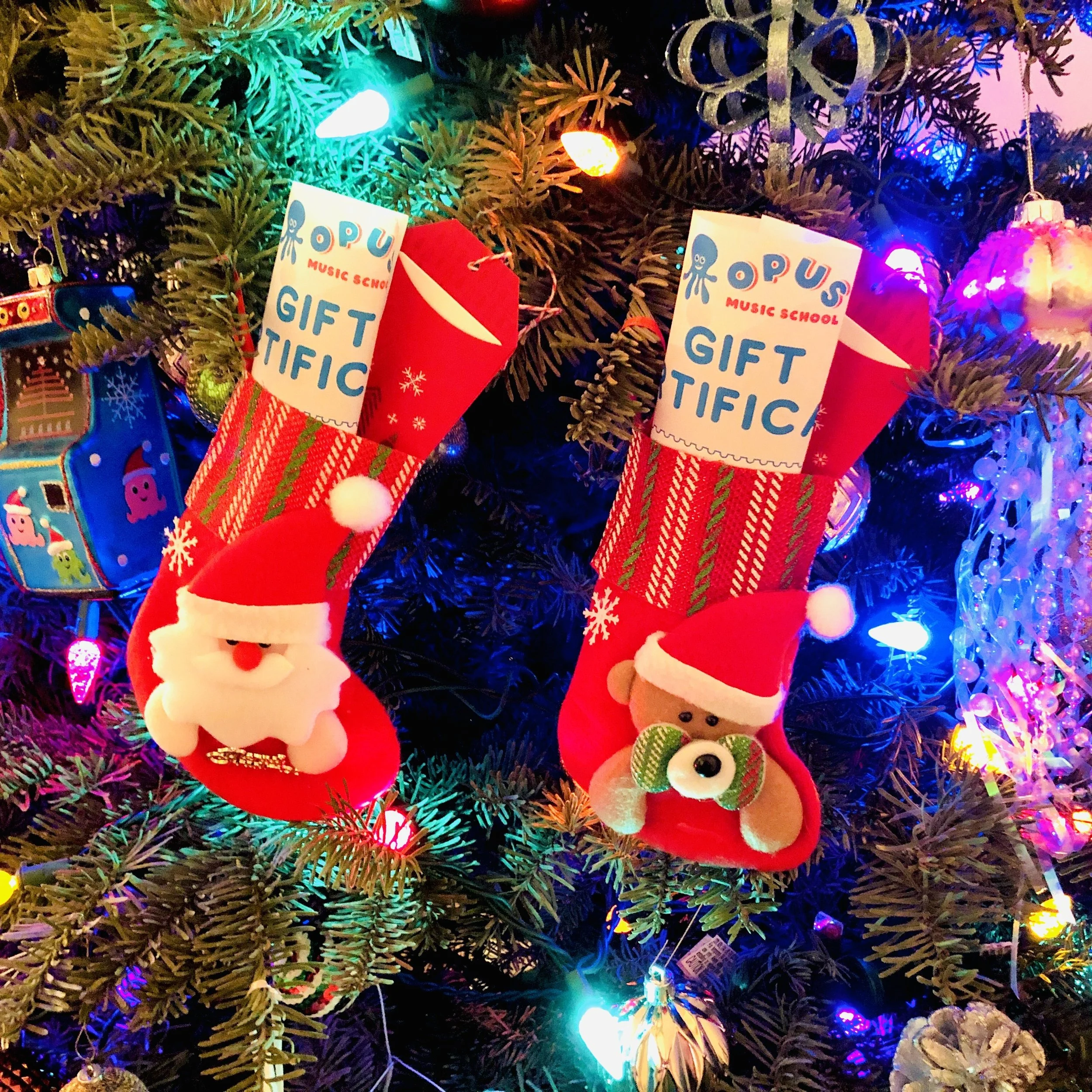 Opus Music School November 2021 Newsletter