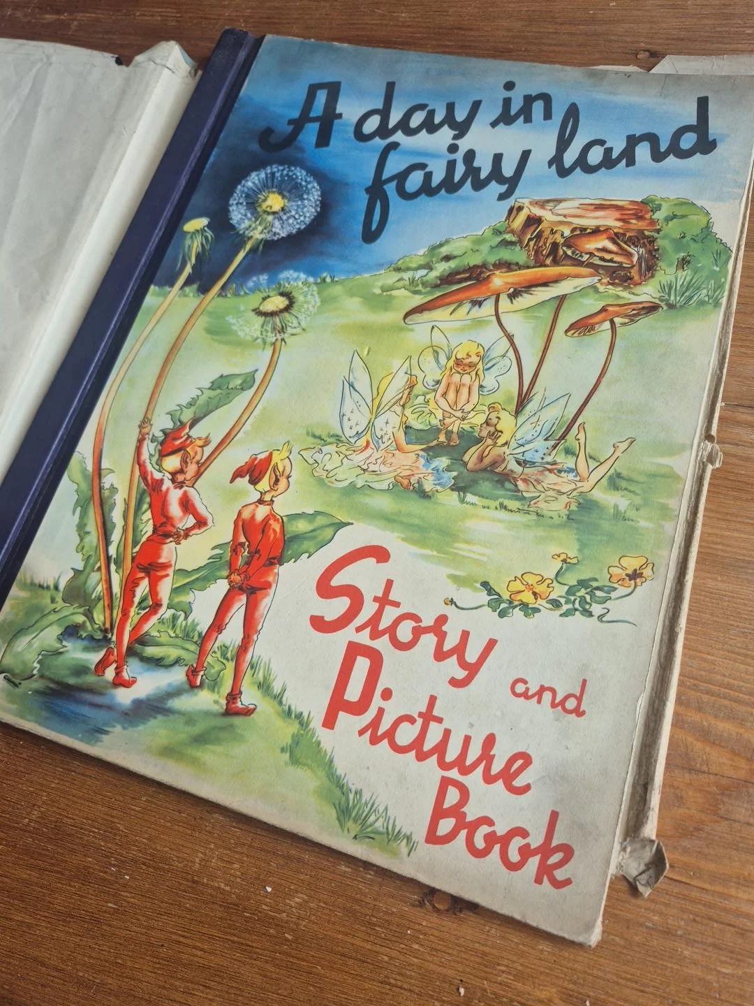 A Vintage Fairy Book That Sparked a New Book Club Idea ✨🧚