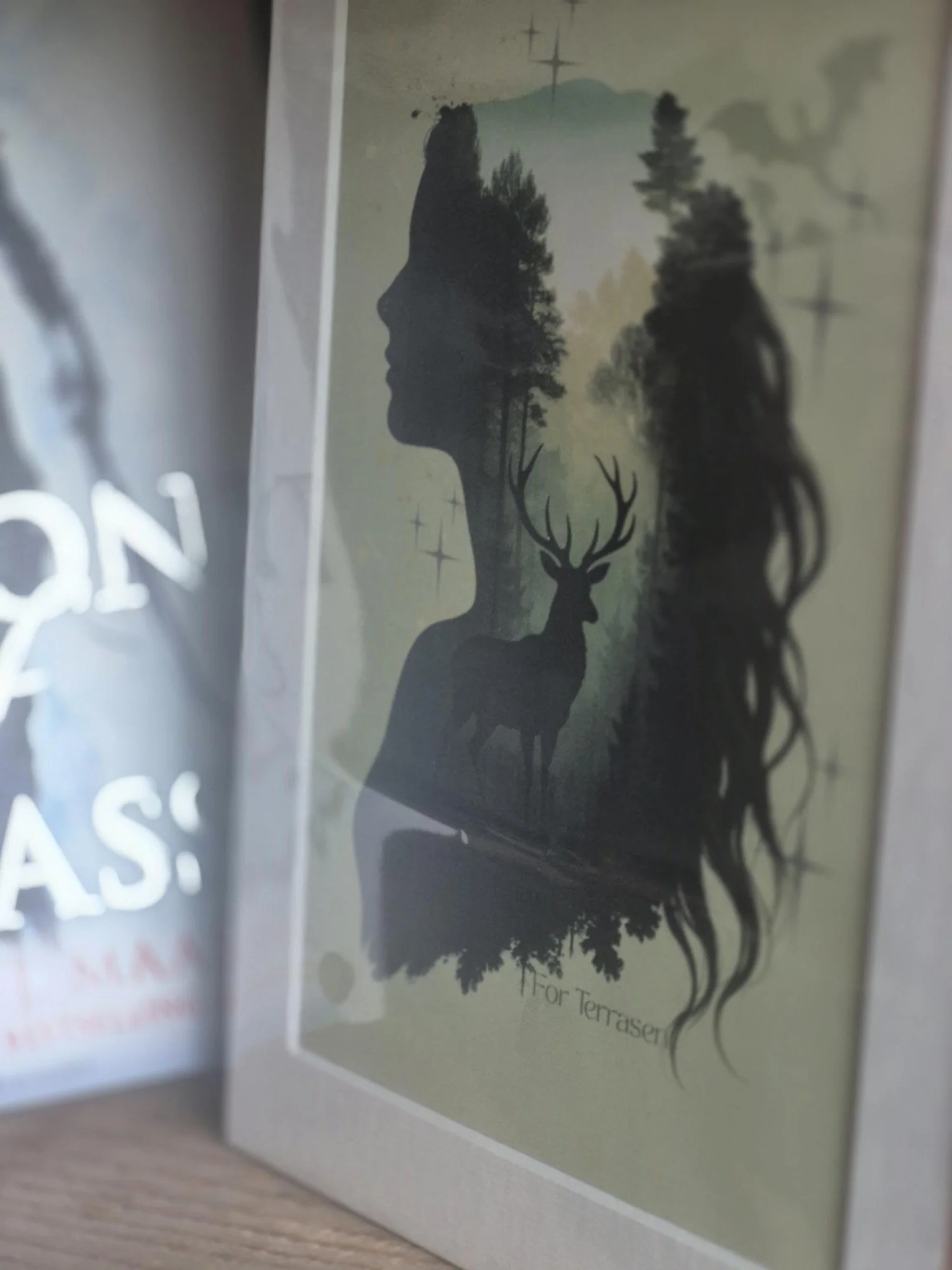 fantasy art print, throne of glass art, bookish wall decor, ya fantasy print, fantasy illustration, book lover gift