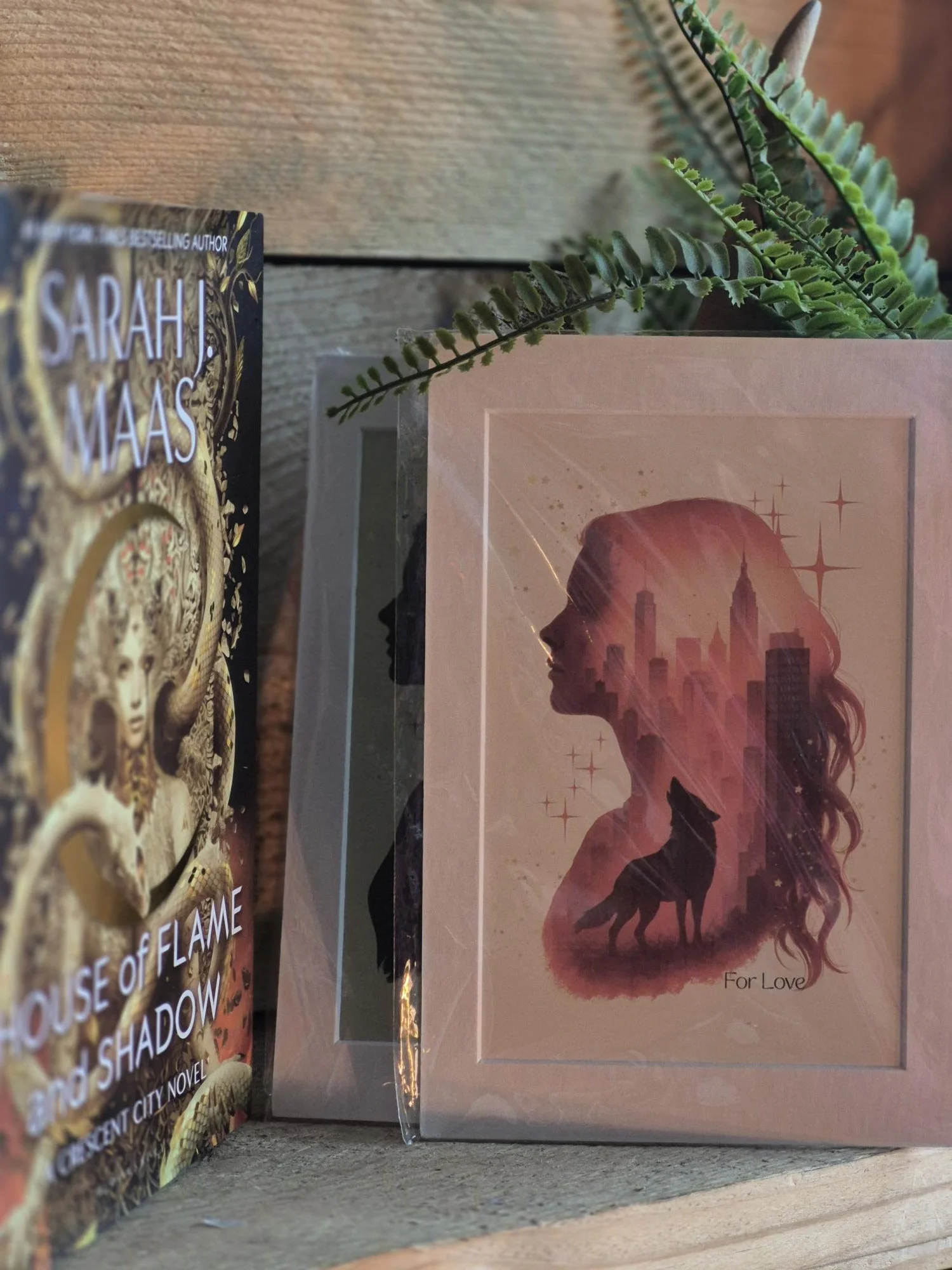 Set of 3 Colourful Fantasy Romance Art Prints, Sarah J Maas Inspired Book Quote Wall Art, Romantasy Decor, Stylish Book Merch