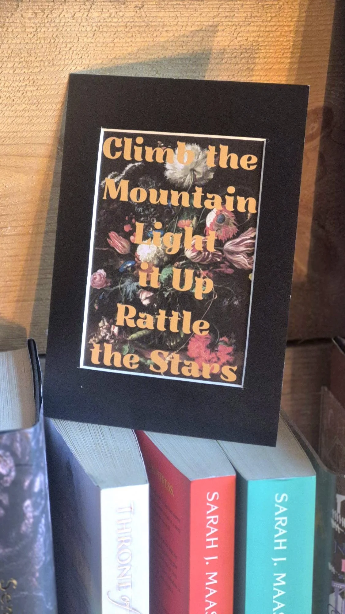 Climb the Mountain Light it Up Rattle the Stars, Fantasy Book Quote Print – Book Lover Gift – Dark Floral Art Print – Bookshelf Decor
