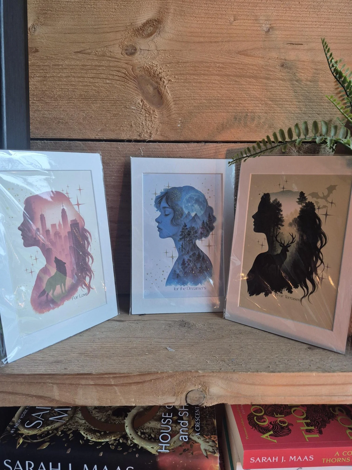 Set of 3 Colourful Fantasy Romance Art Prints, Sarah J Maas Inspired Book Quote Wall Art, Romantasy Decor, Stylish Book Merch