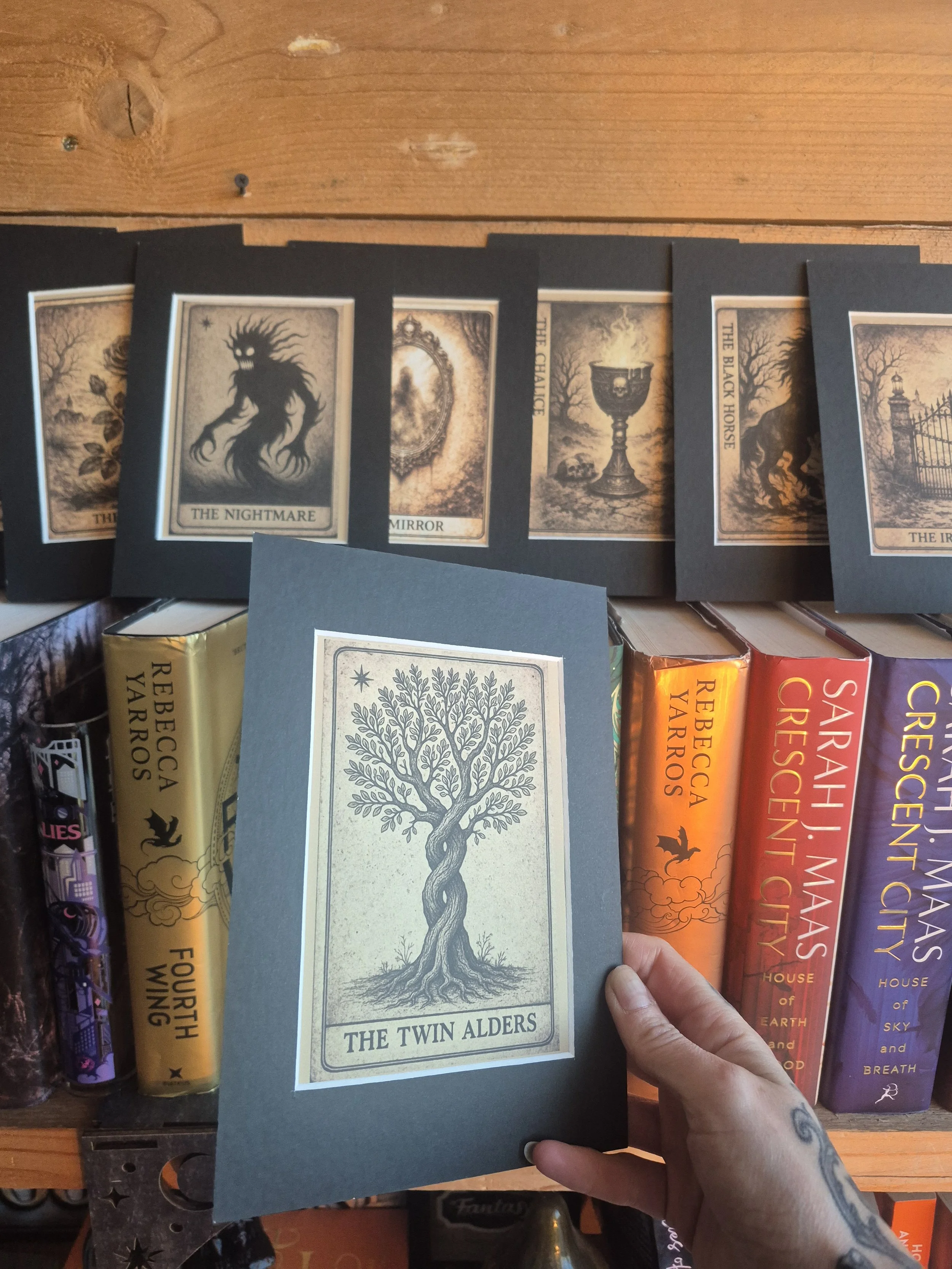 One Dark Window PROVIDENCE CARDS – Full Deck Fantasy Tarot Cards | Gothic Bookish Art | Dark Library Decor | Twin Alders Card, ACEO Cards