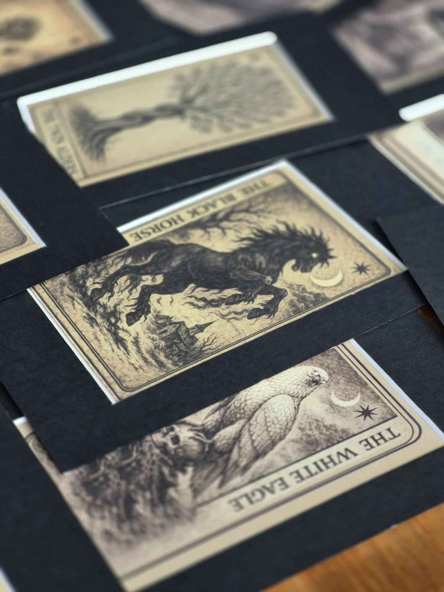 One Dark Window PROVIDENCE CARDS – Full Deck Fantasy Tarot Cards | Gothic Bookish Art | Dark Library Decor | Twin Alders Card, ACEO Cards