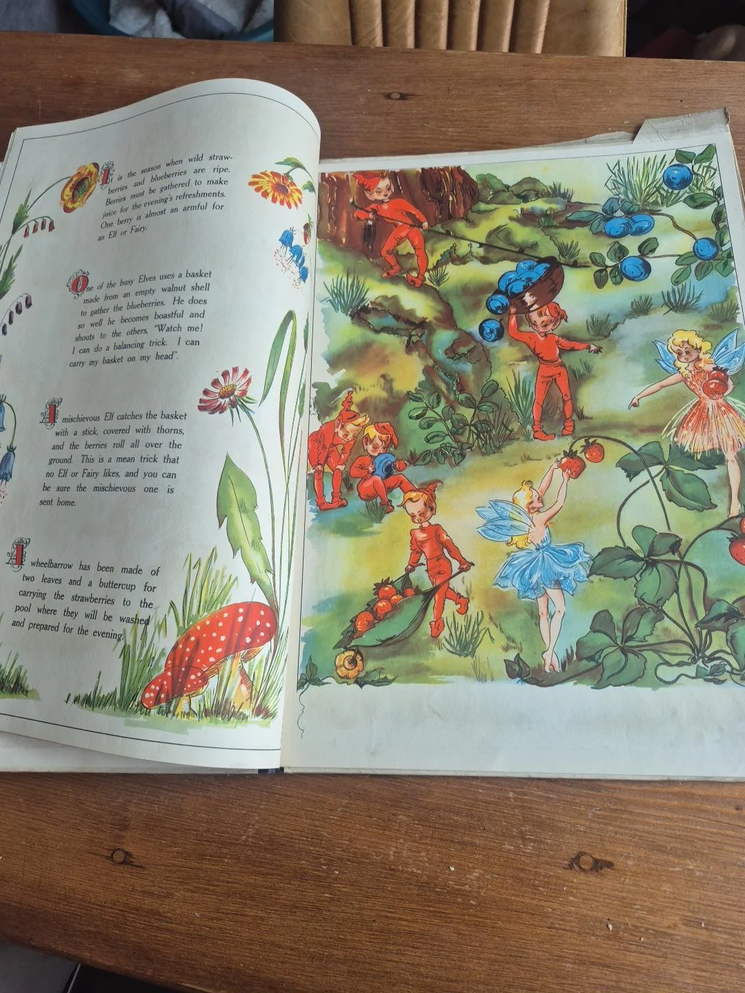 An old storybook left open beneath an ancient oak tree, Vintage botanical borders with delicate wildflowers