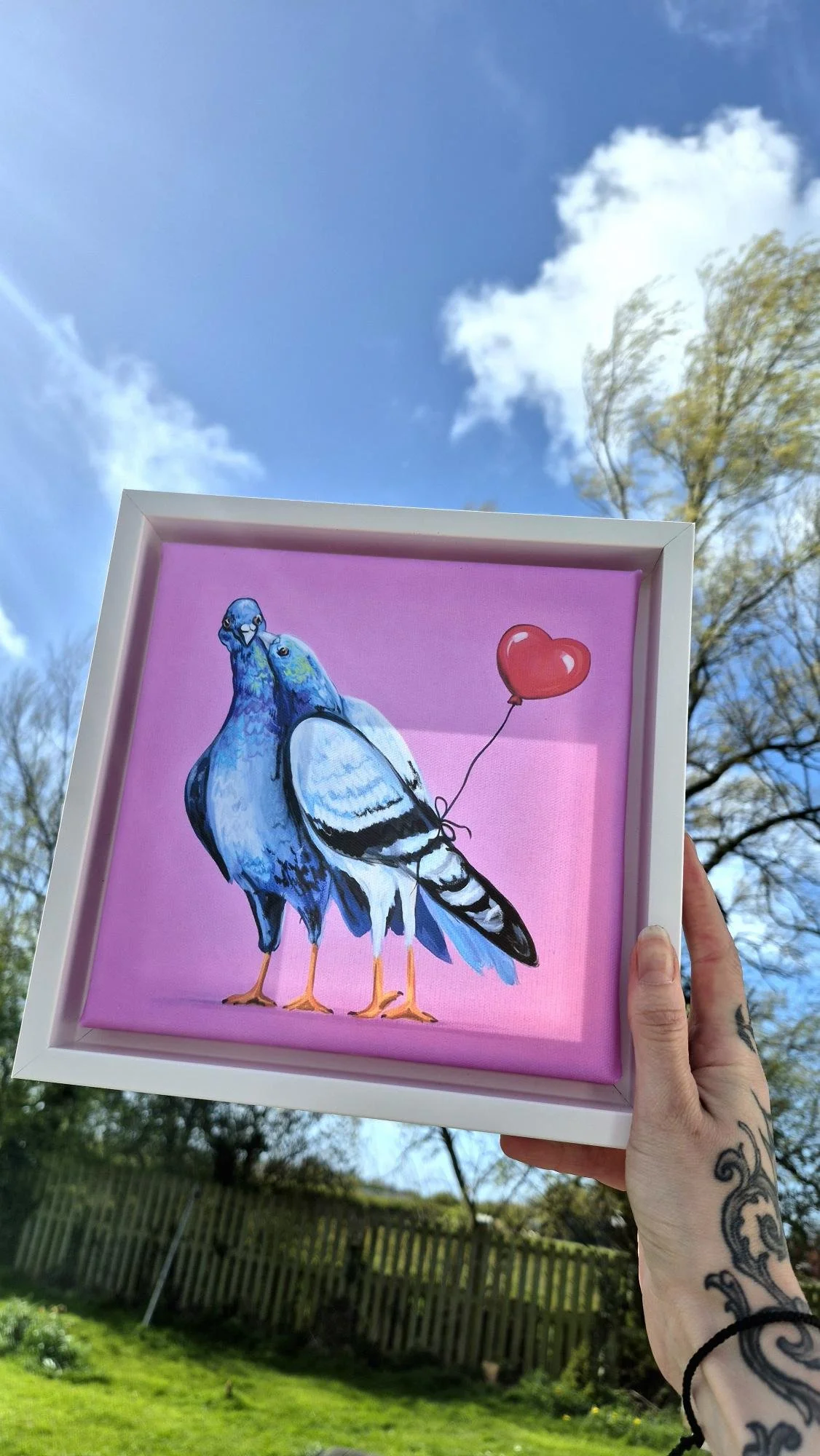 Wing mates framed canvas print, colourful pigeon art