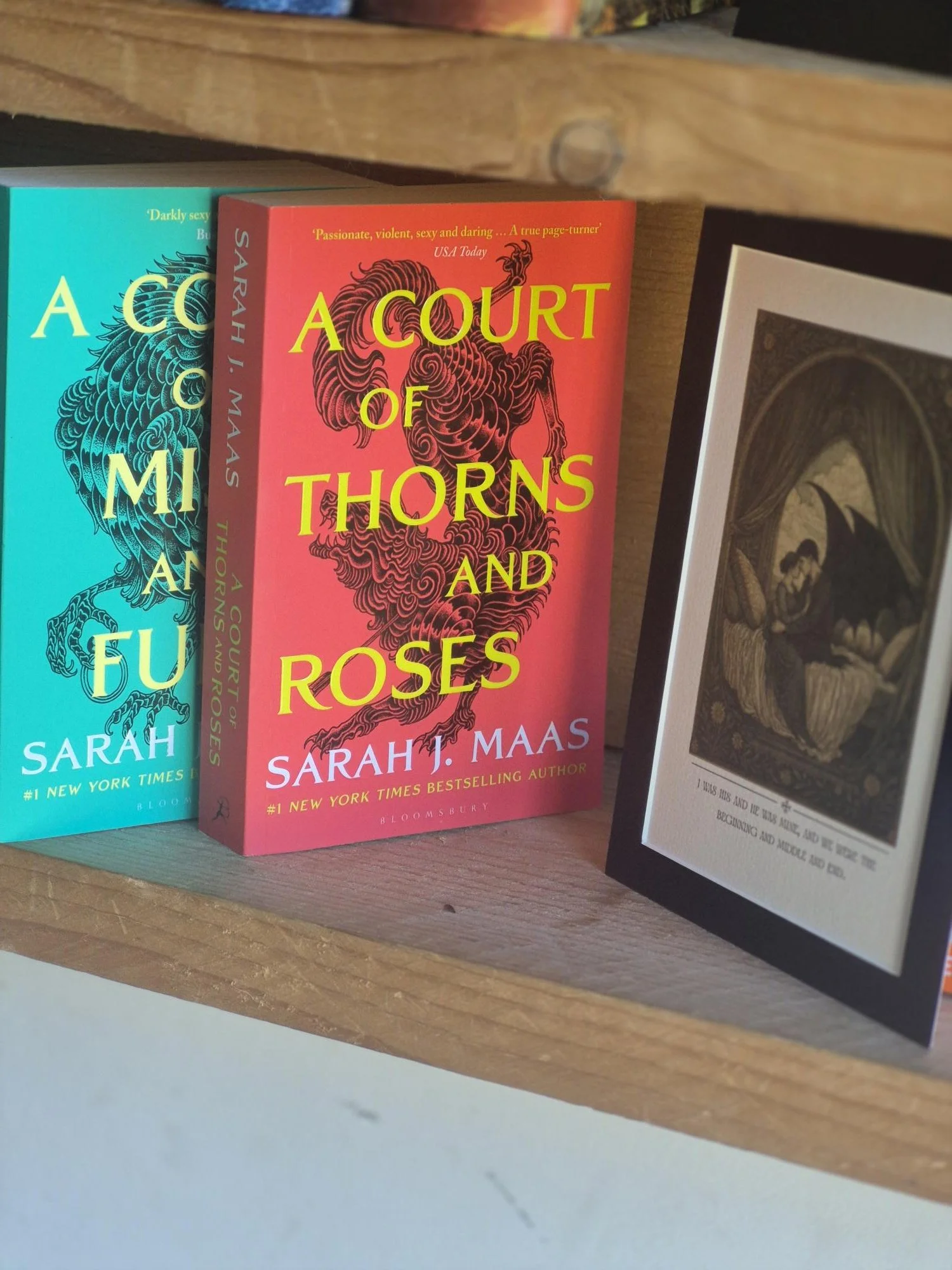 #fantasy #fantasyromace #bookdecor #bookshelfdecor #medieval #booklover #librarycore