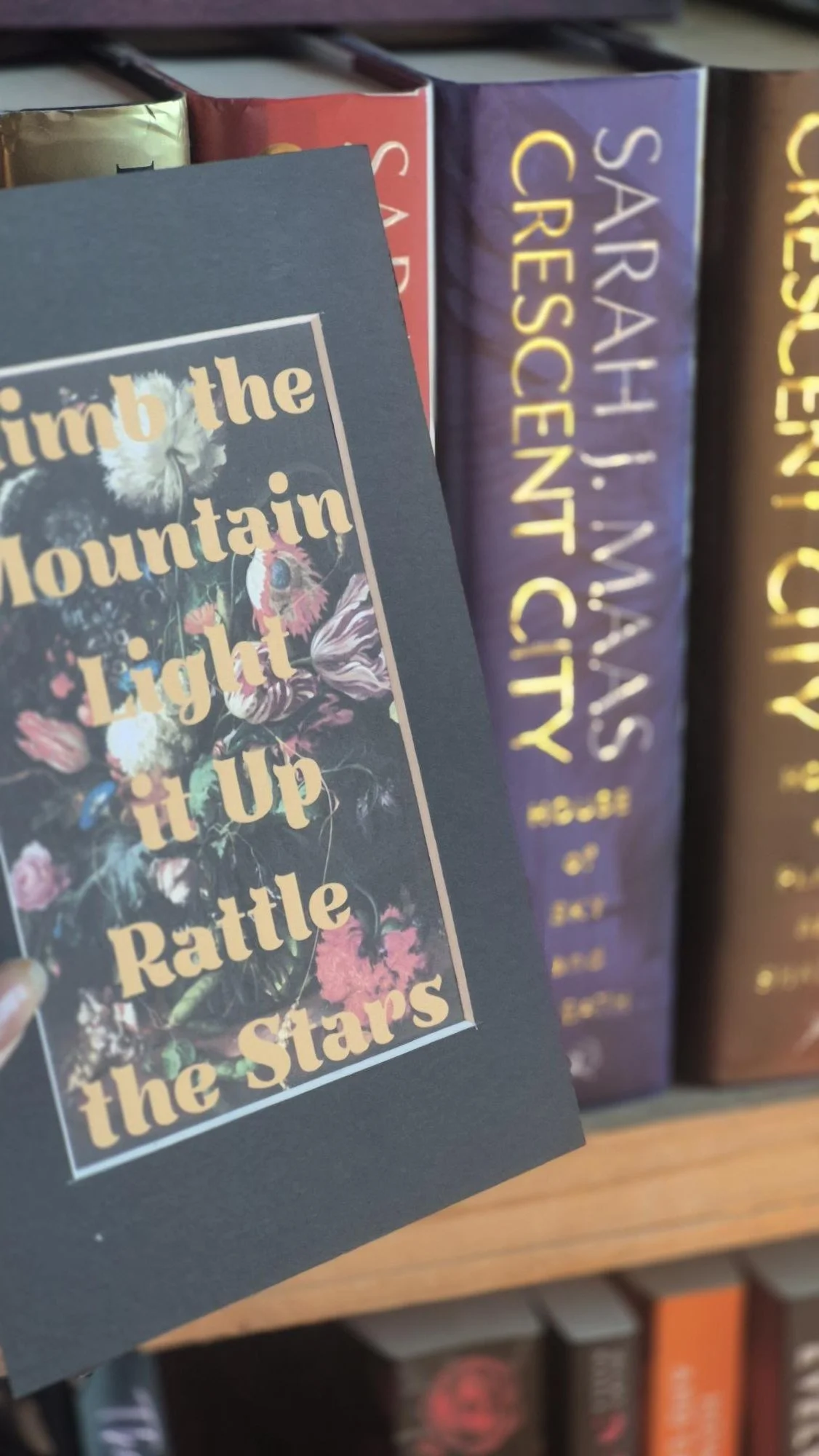 Climb the Mountain Light it Up Rattle the Stars, Fantasy Book Quote Print – Book Lover Gift – Dark Floral Art Print – Bookshelf Decor