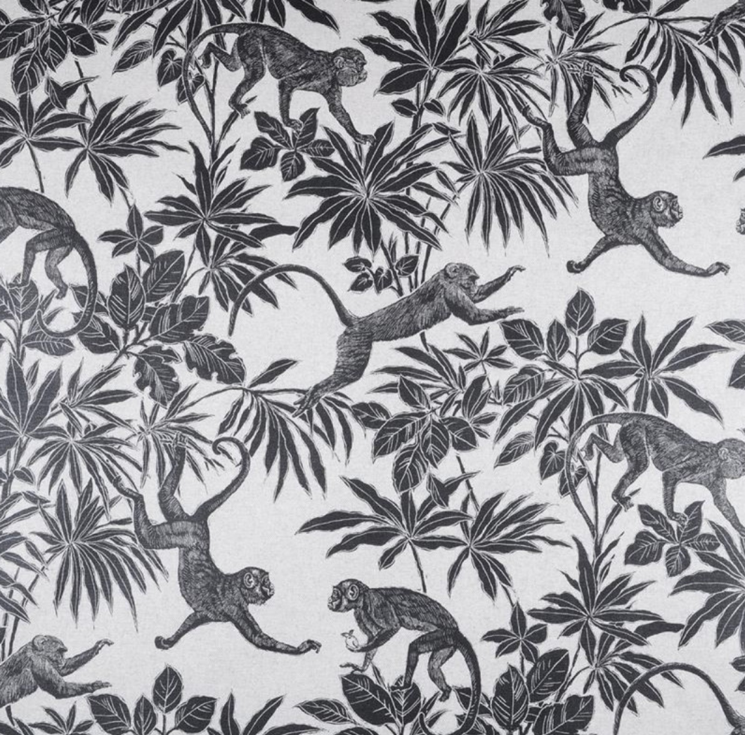 Tissu exotique singe noi et blanc Sajou