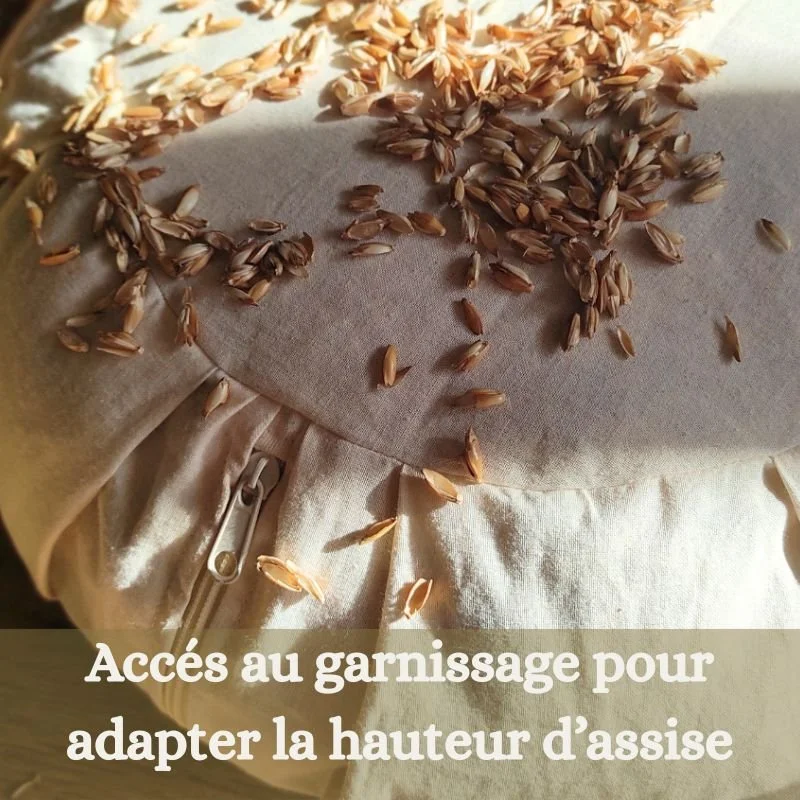 zafu-déhoussable copie.jpg