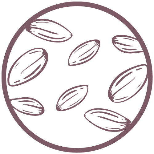 13.png