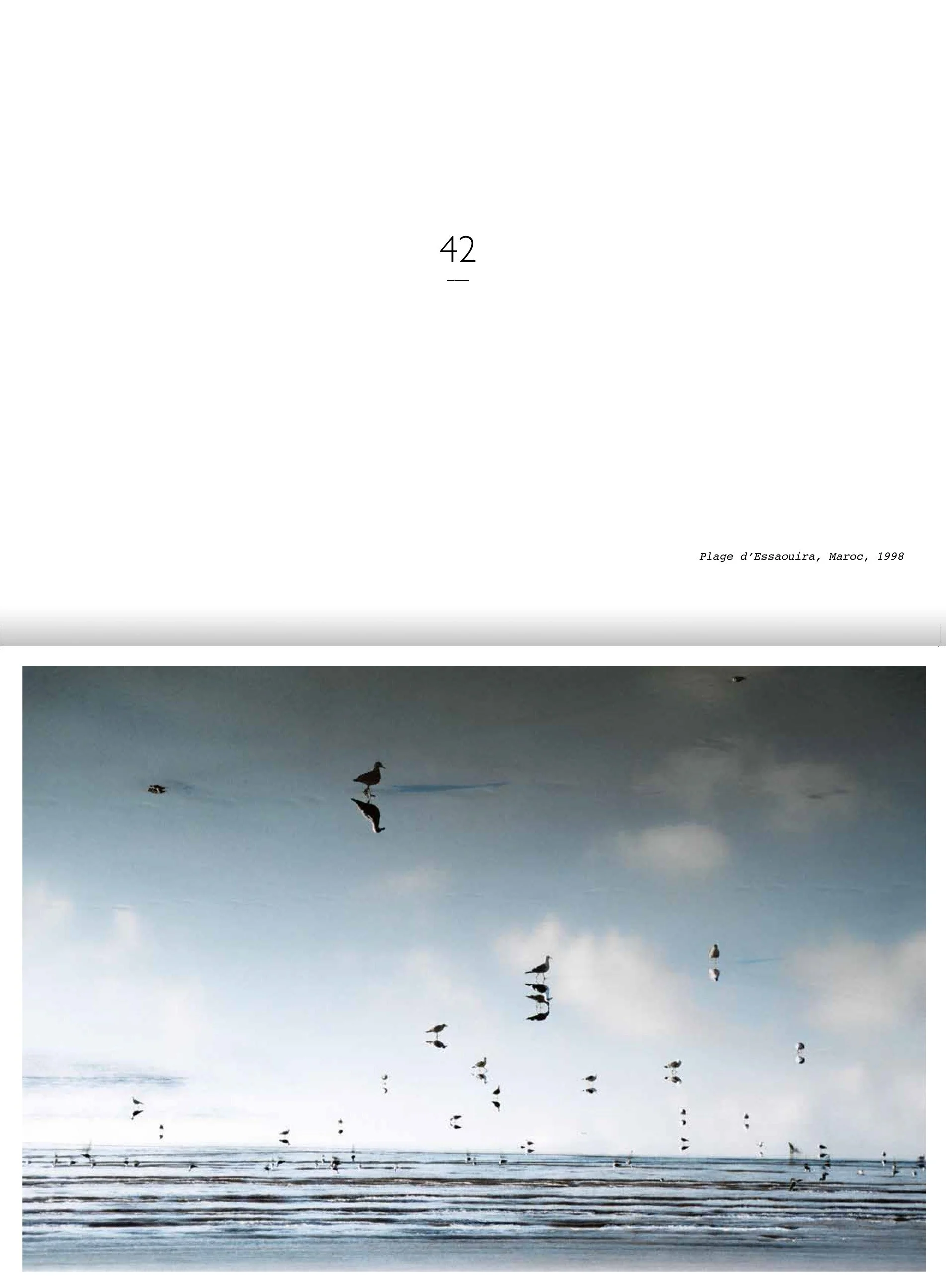 3-LIVRE SONGES FINIjuré Web Fd perdu-42.jpg