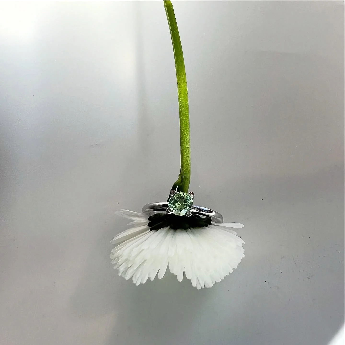 There&rsquo;s a new spring ring in the showroom today! 💚

#guldmakeriet #greentourmalin #finnsibutik #ring #handgjordasmycken