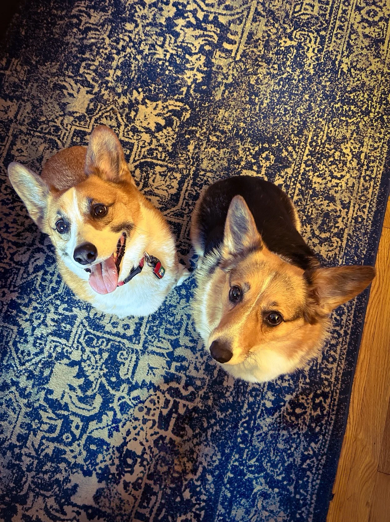 Simon & Cora