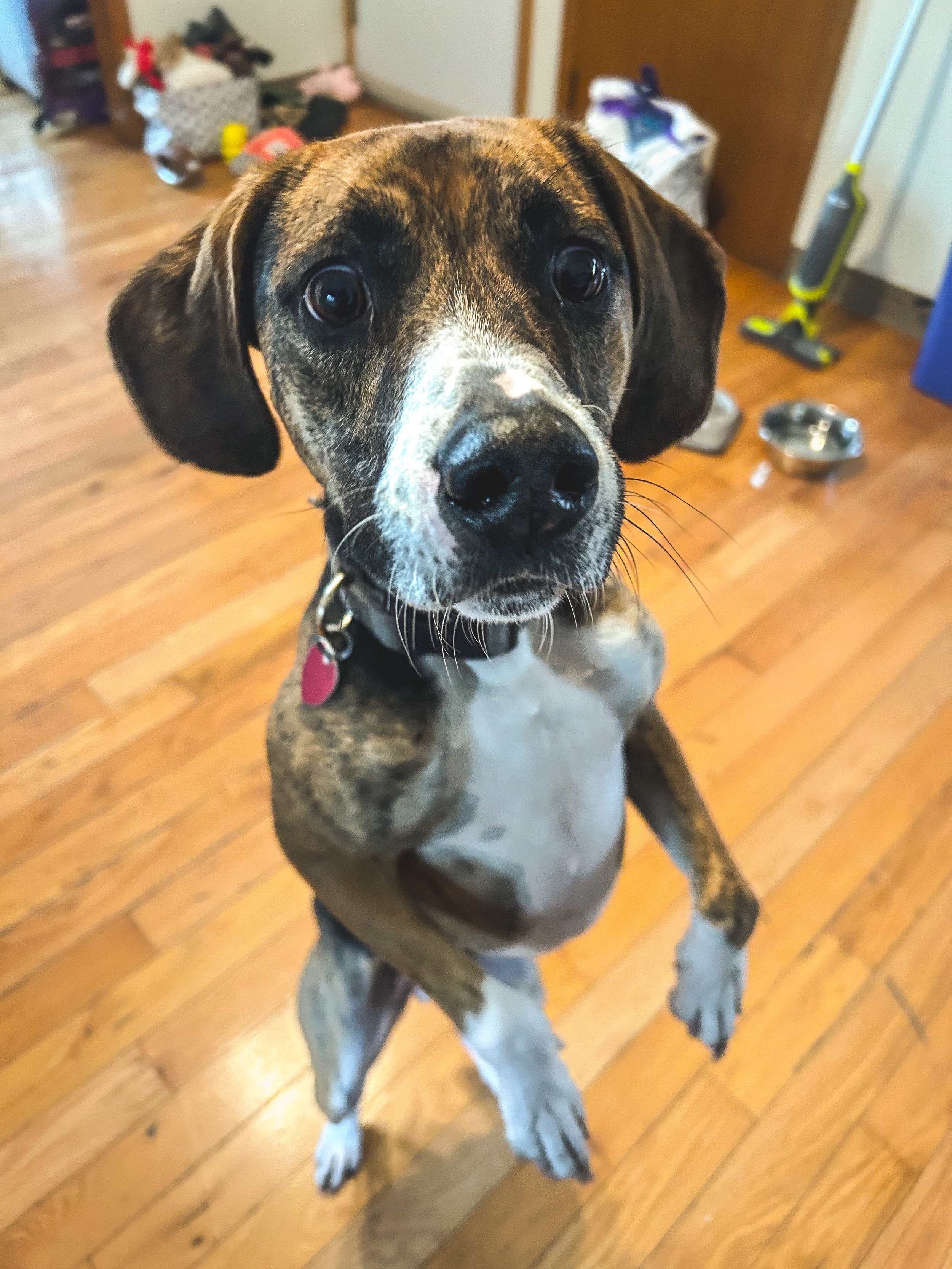 Odin