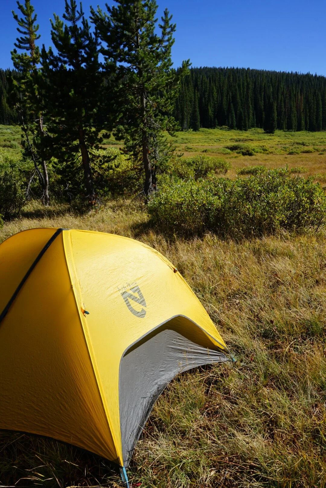 Gear Review: Nemo Hornet Elite 2P