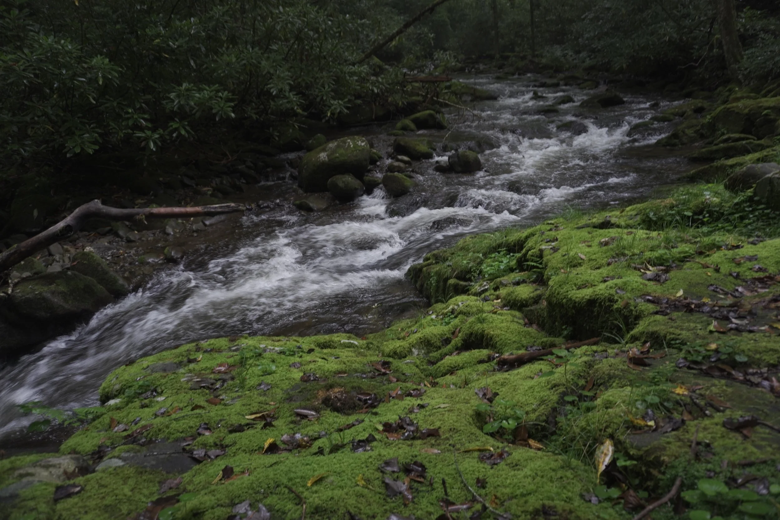 AHR02826.JPG