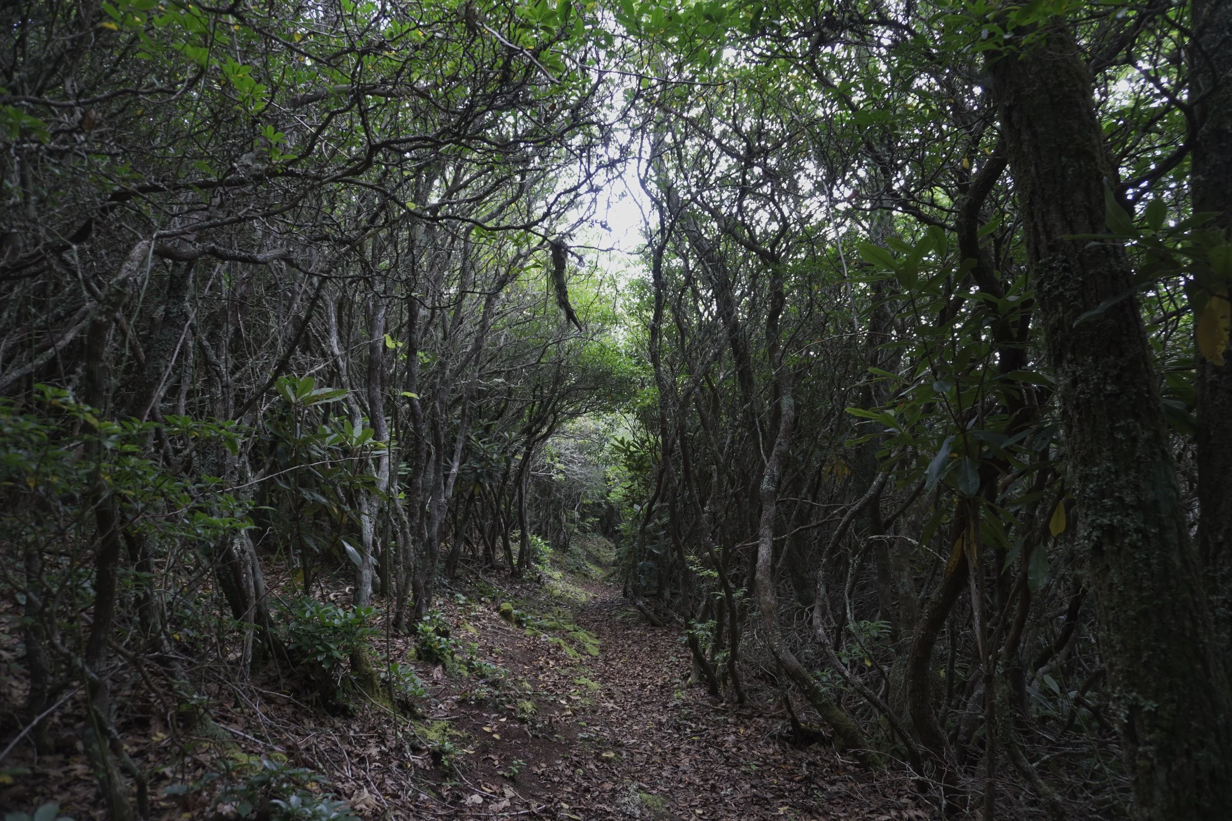 AHR02705.JPG