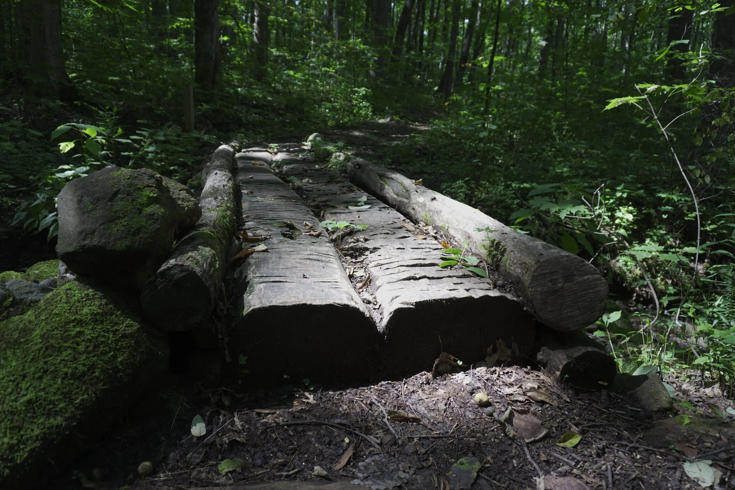 AHR02707.JPG