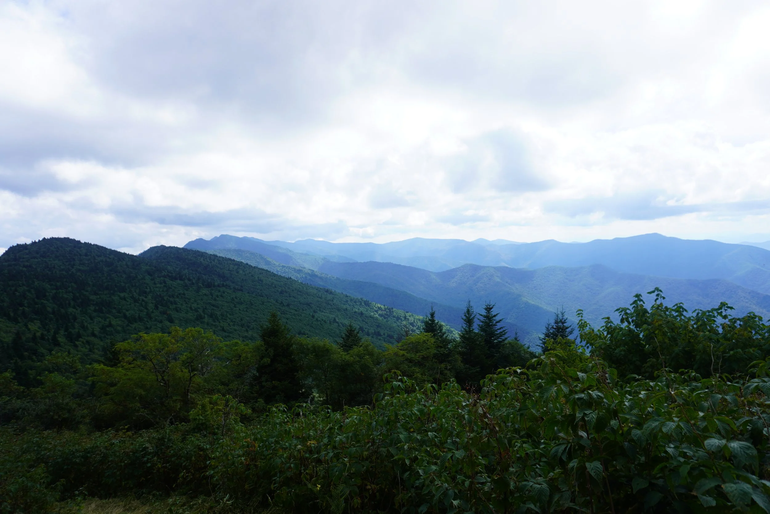 AHR02418.JPG