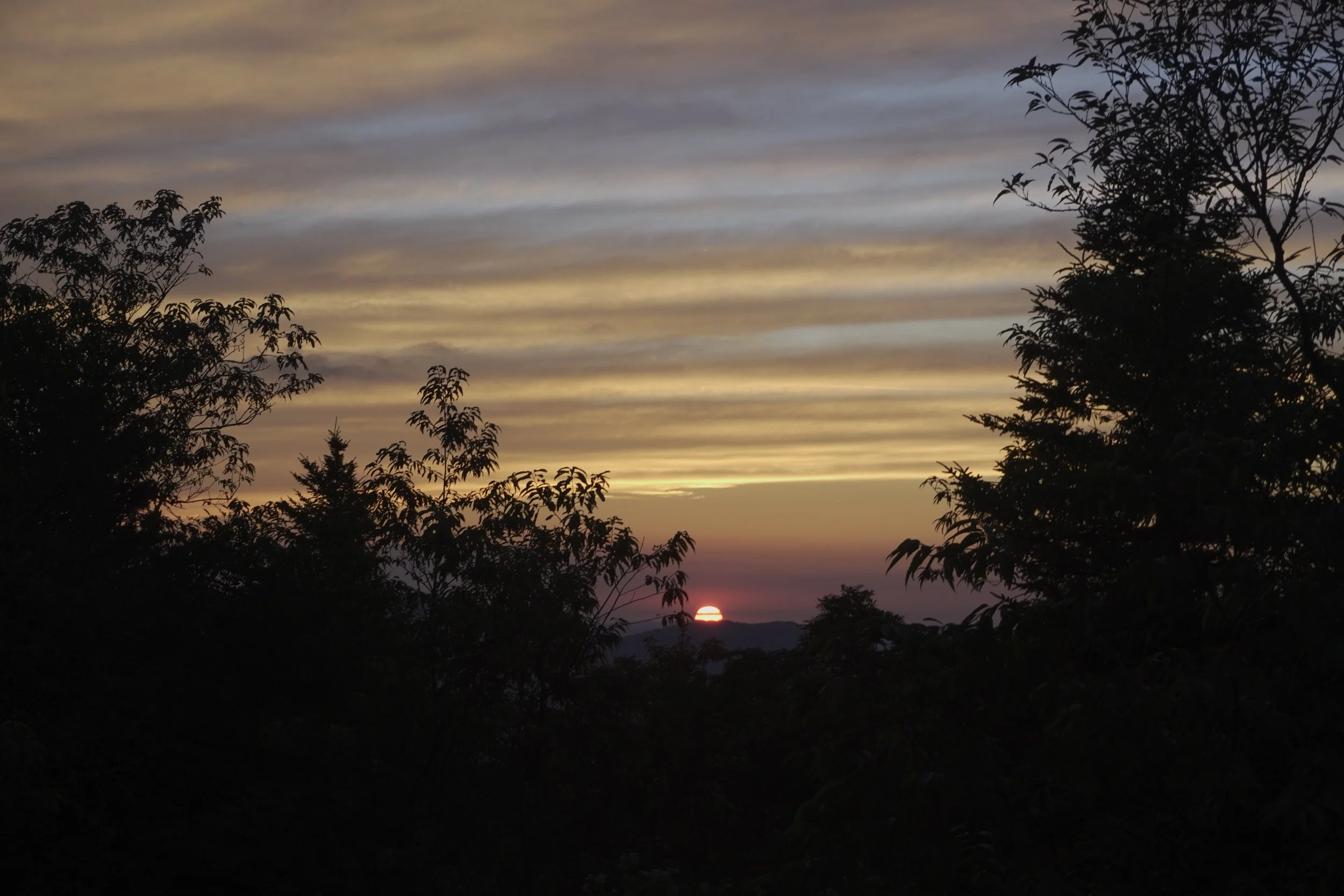 AHR02461.JPG