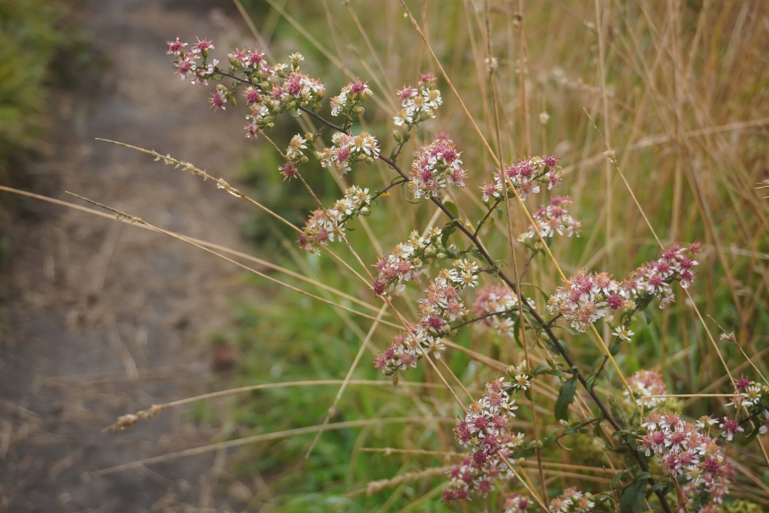 AHR03062.JPG