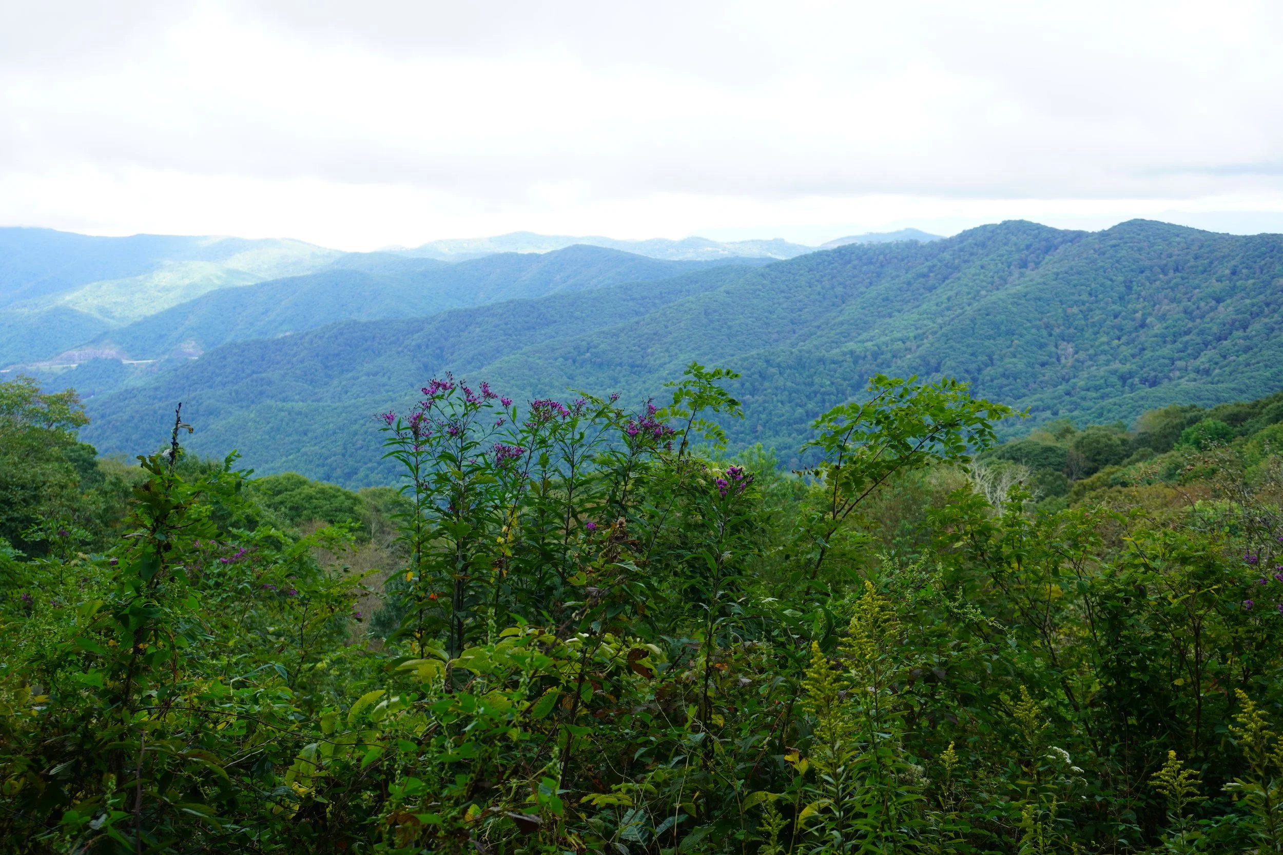 AHR03041.JPG