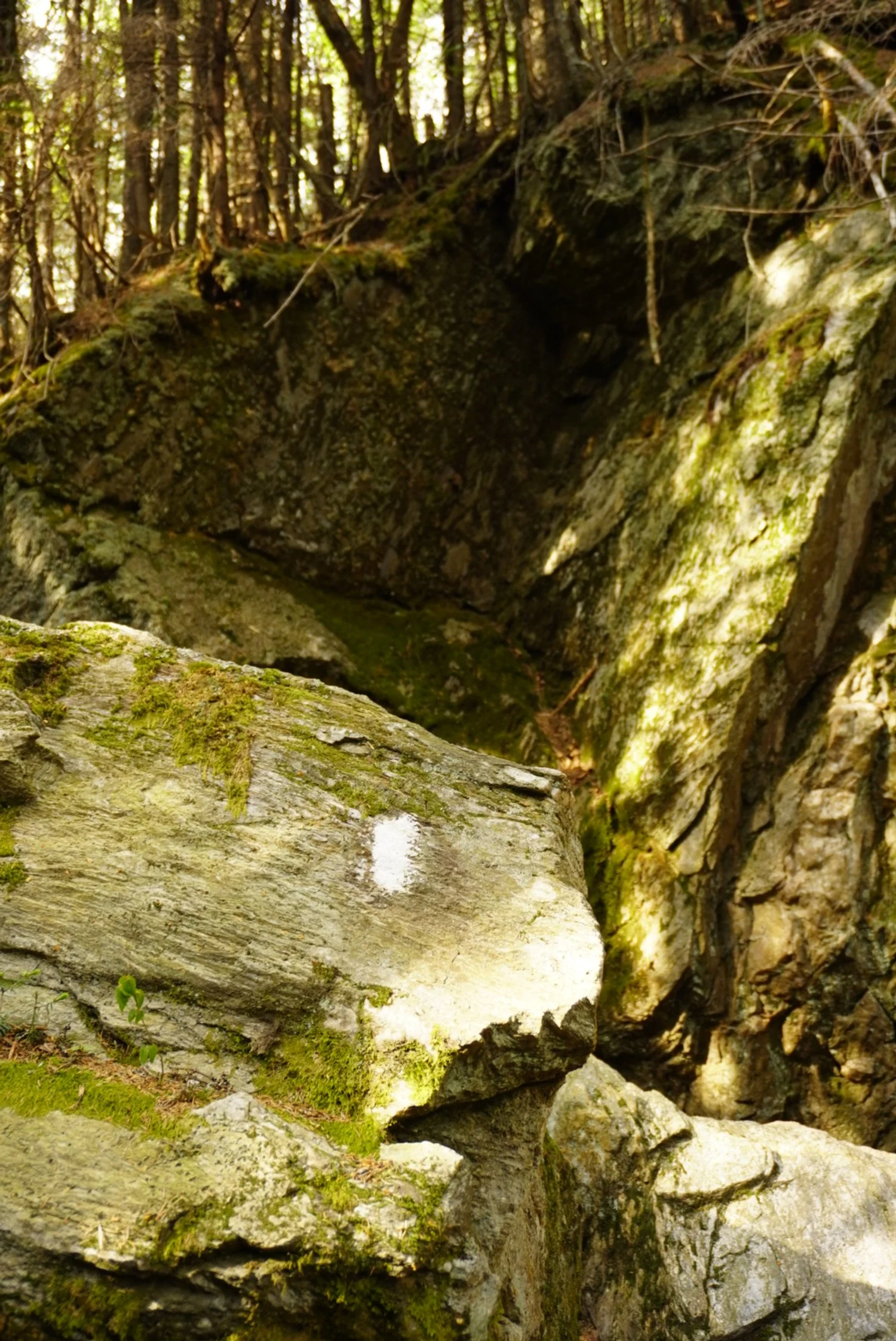 AHR05509(1).JPG