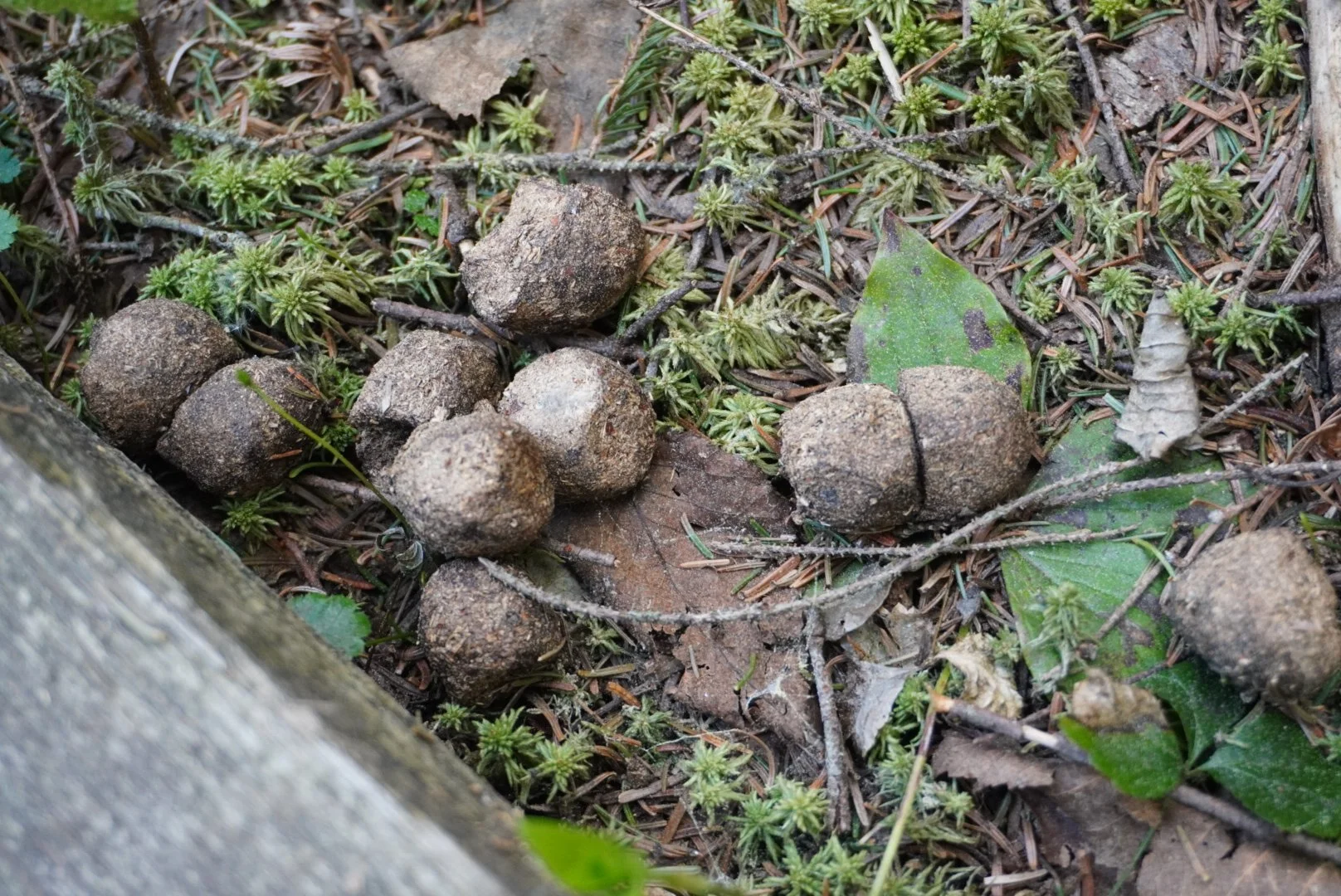 AHR05407.JPG
