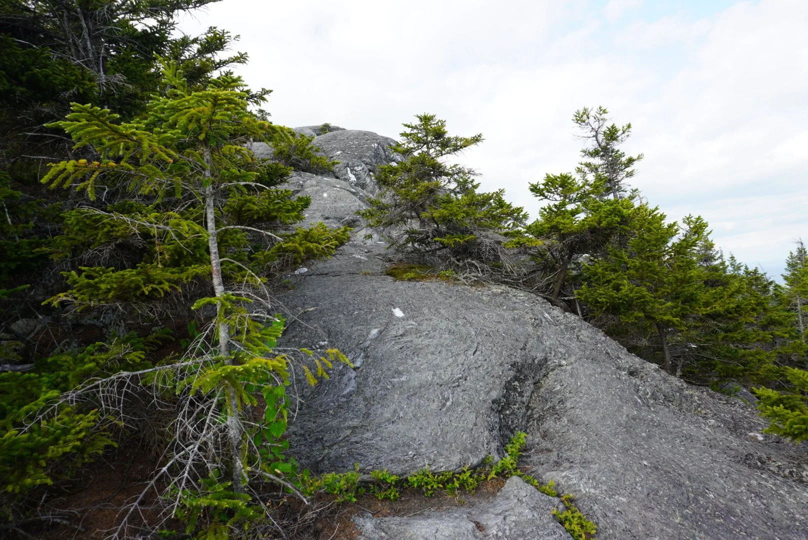 AHR05518.JPG