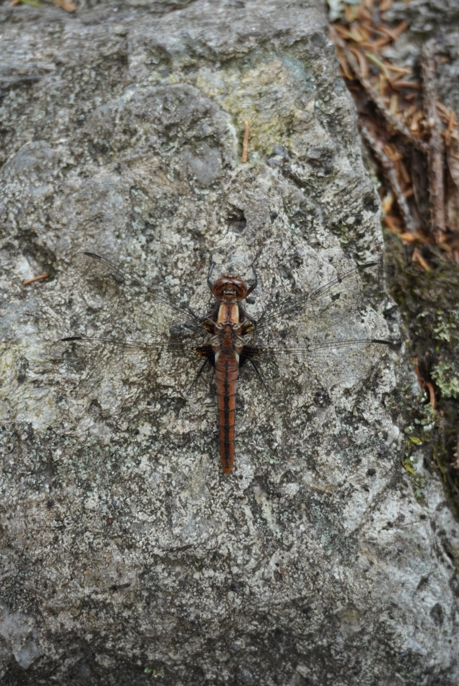 AHR05584.JPG