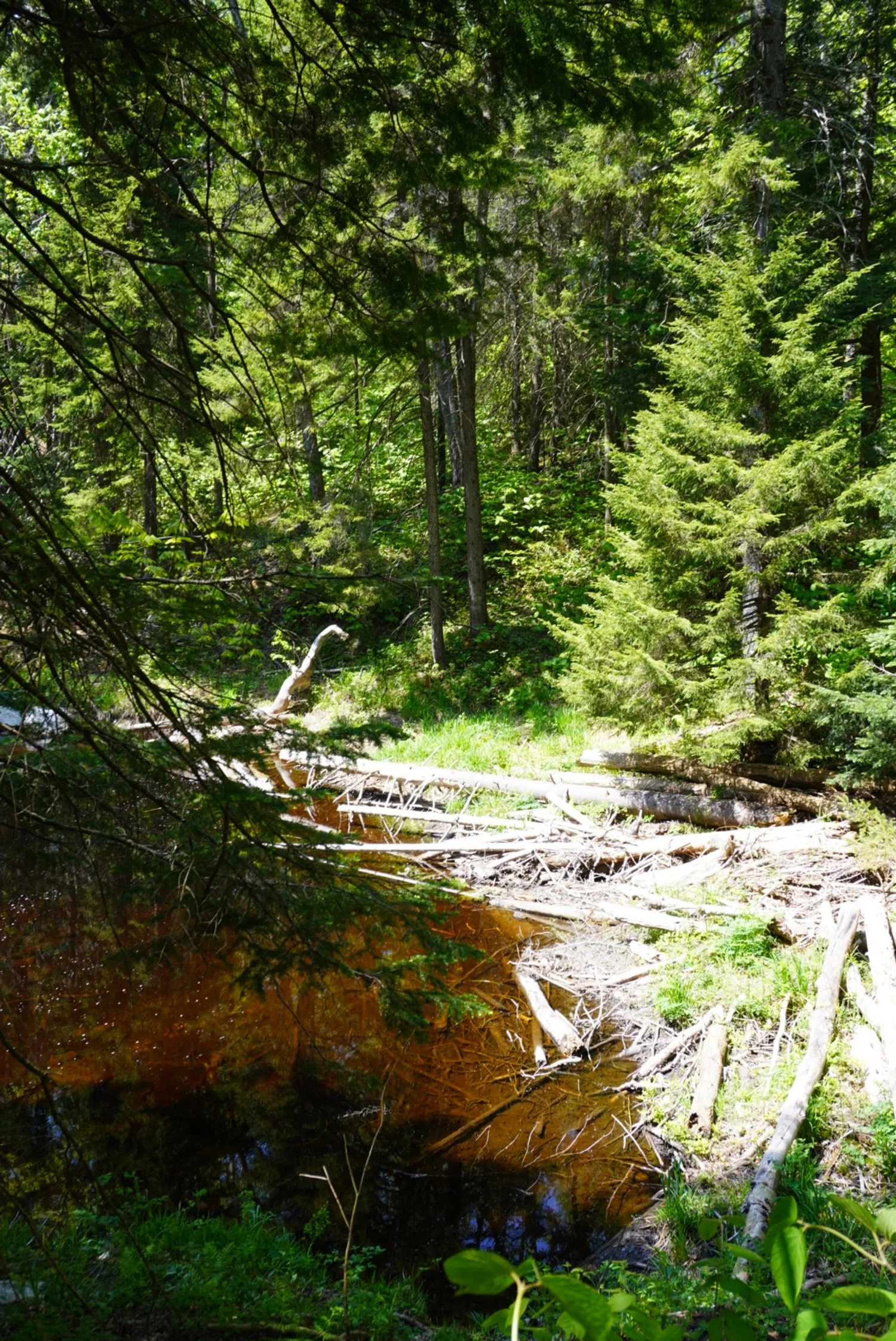 AHR05328.JPG