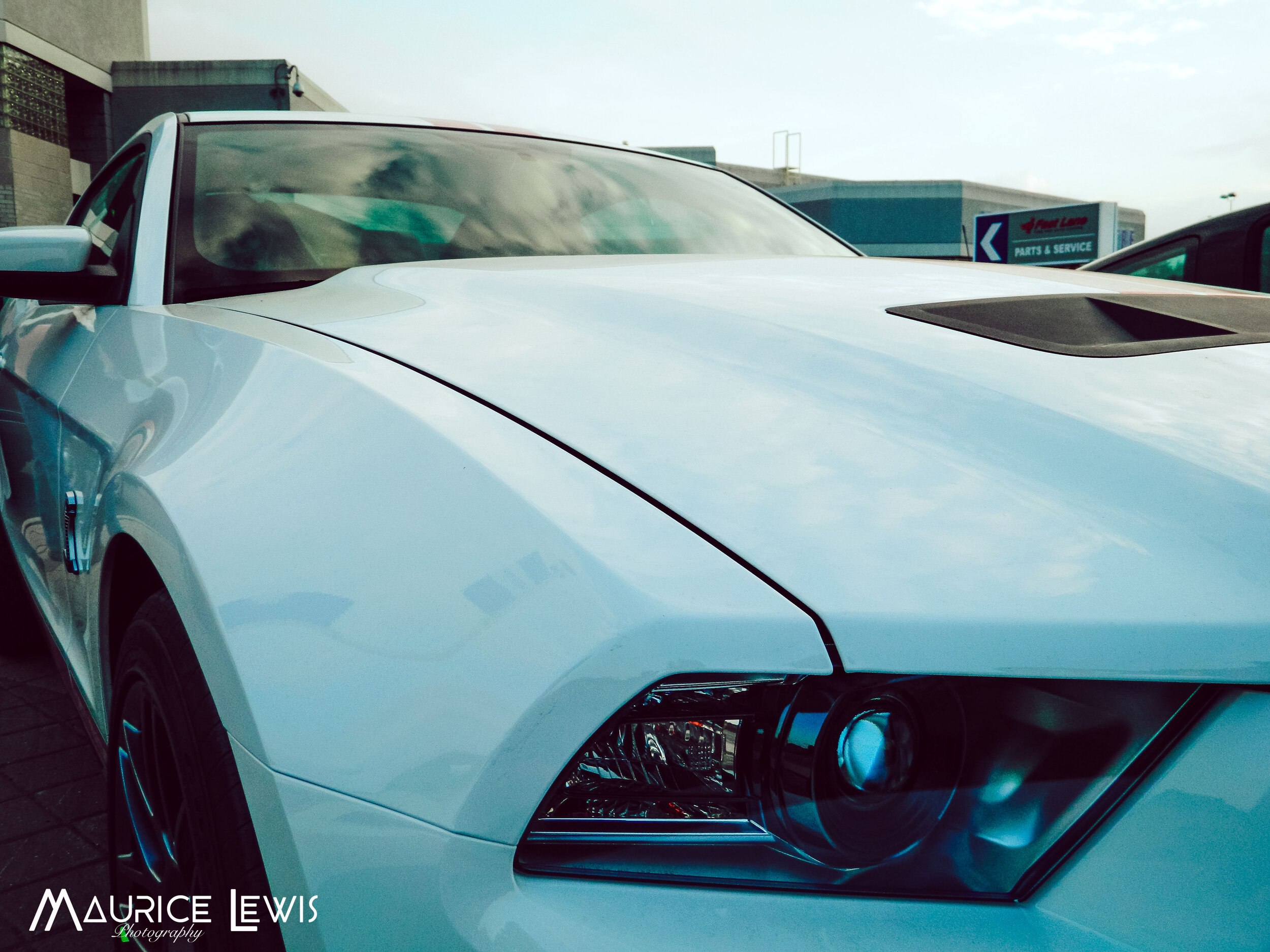 white mustang-2.jpg