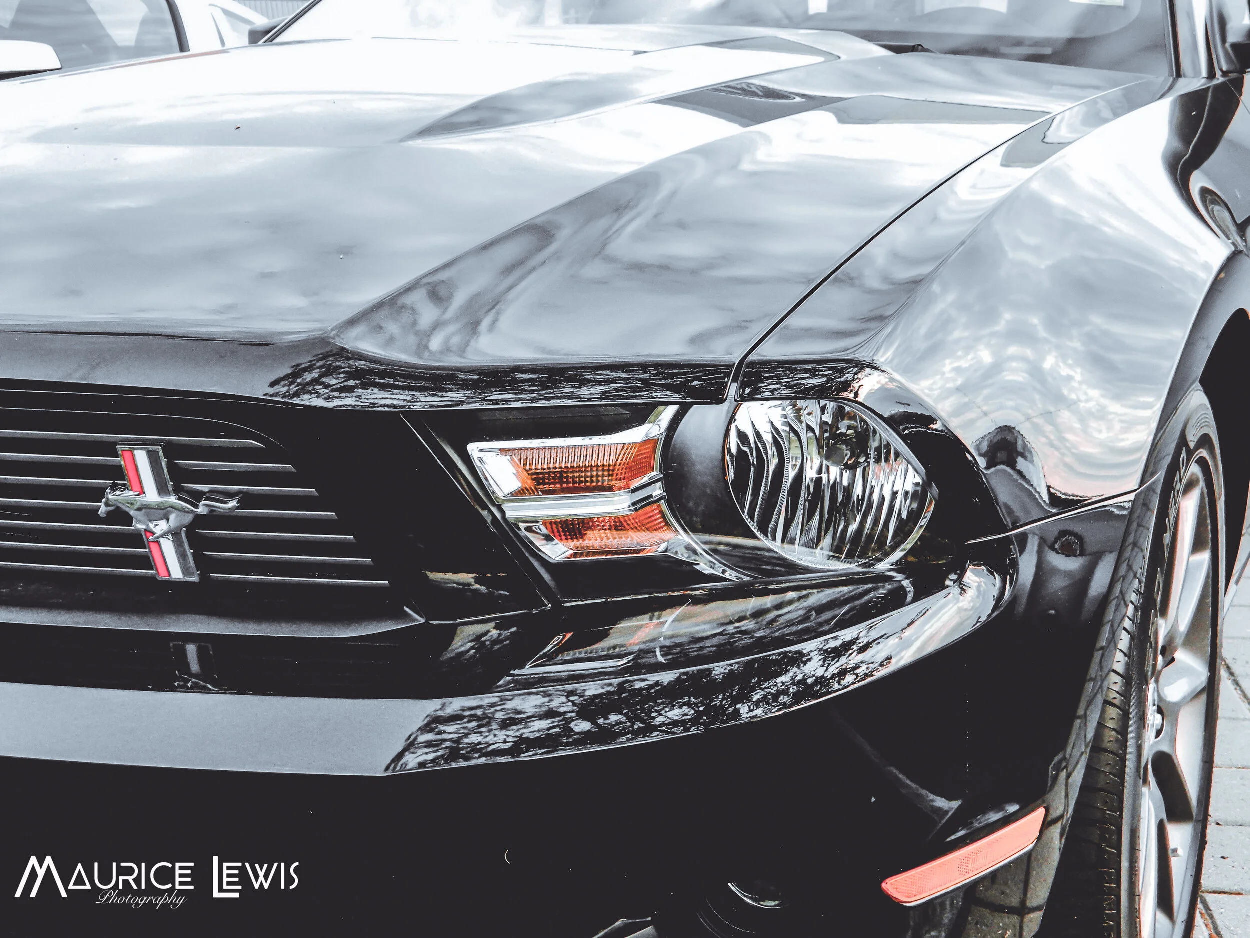 black mustang.jpg