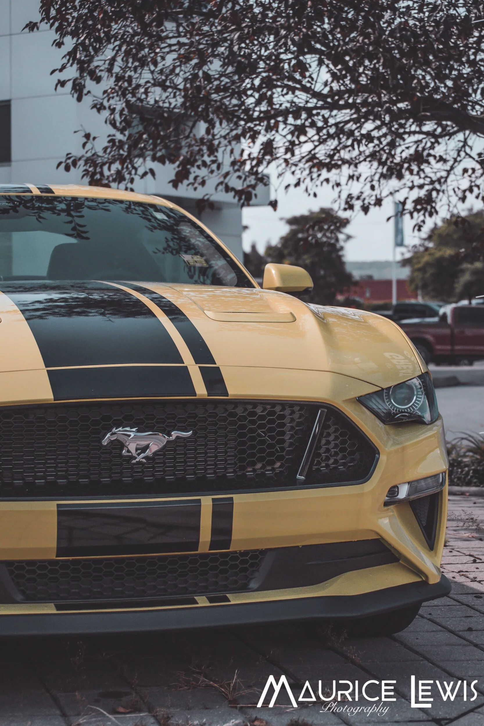 yellow mustang 2.jpeg