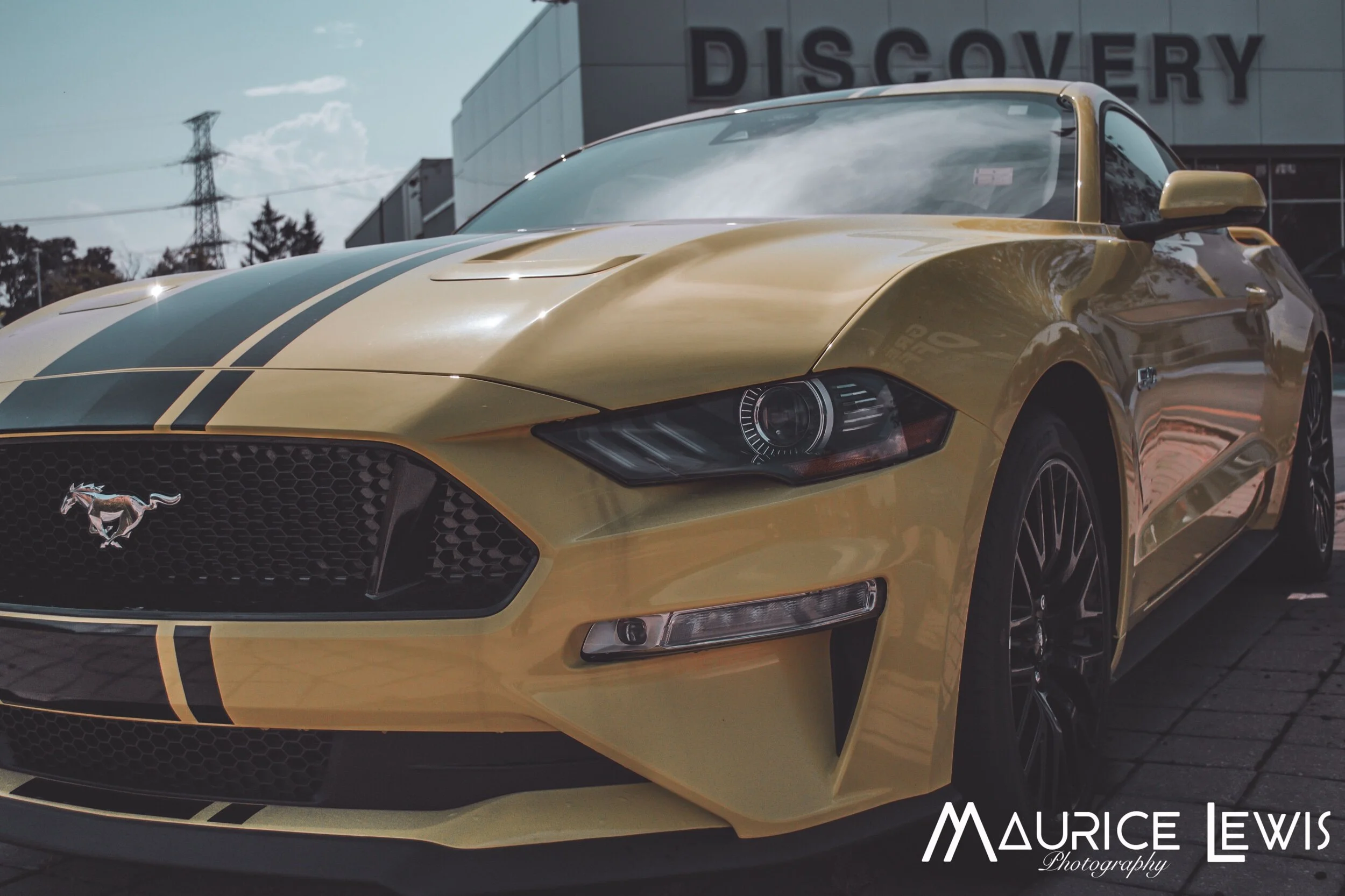 Yellow mustang.jpeg