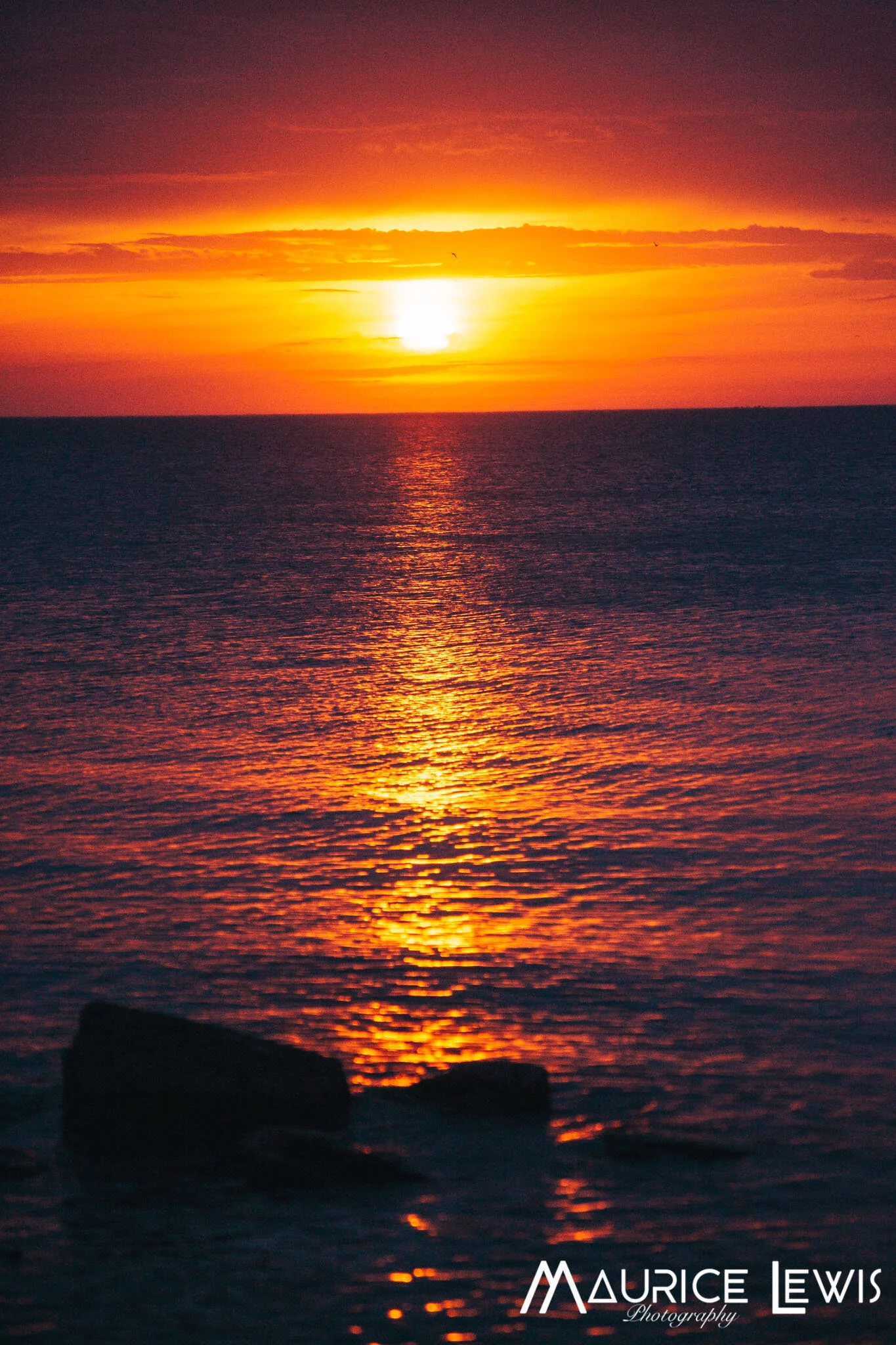 DSC_0384.jpg