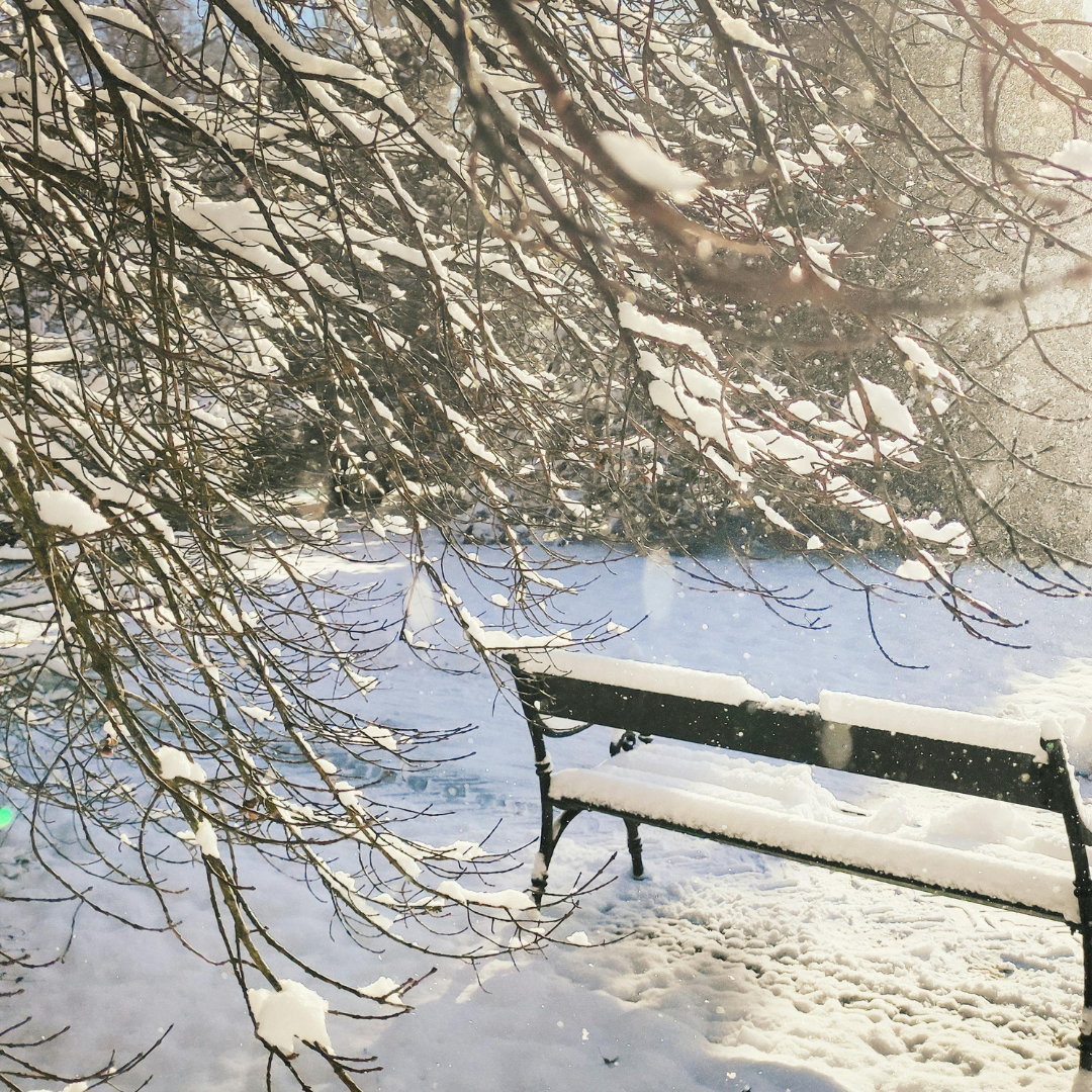 What If You Didn’t Push Through December?