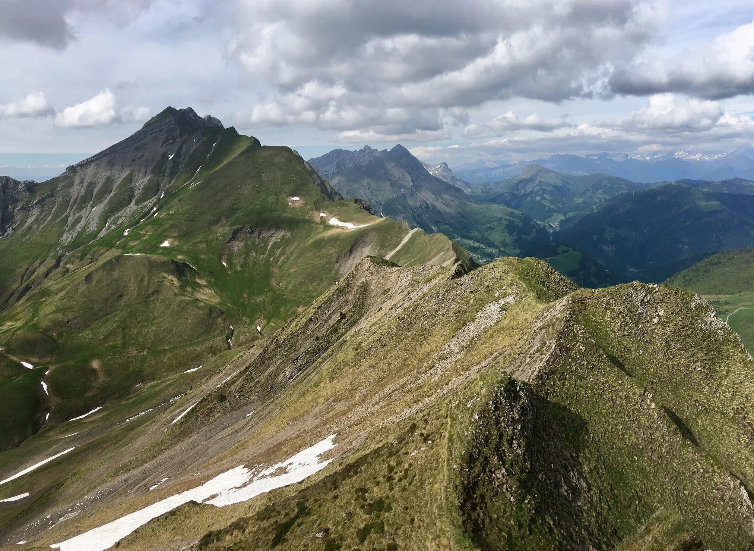 IMG_5801.jpeg