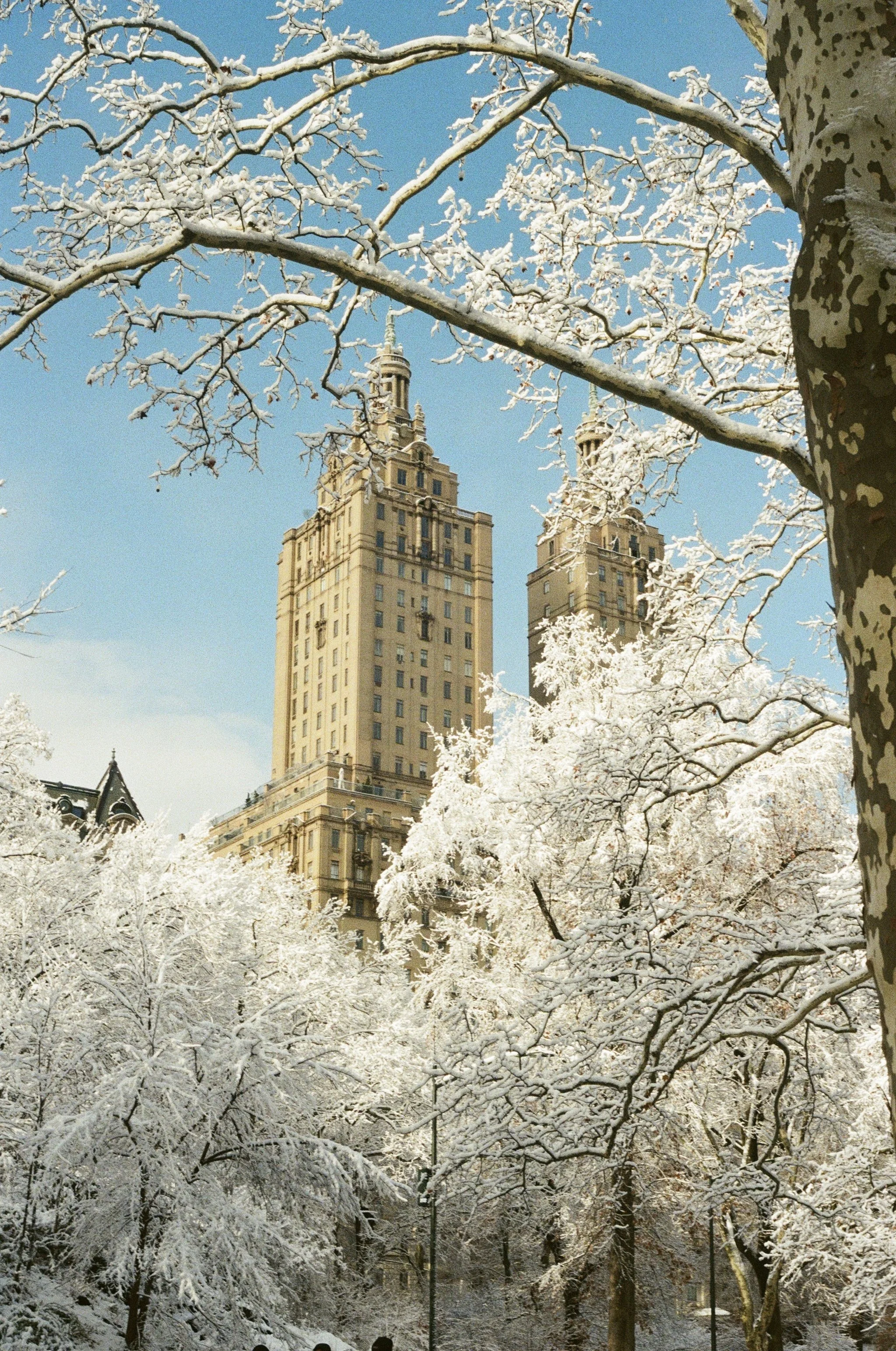 We spent a morning walking around Central Park after a long overnight snow. I turned around and sensed this would make for a good shot, and I think I was right!
