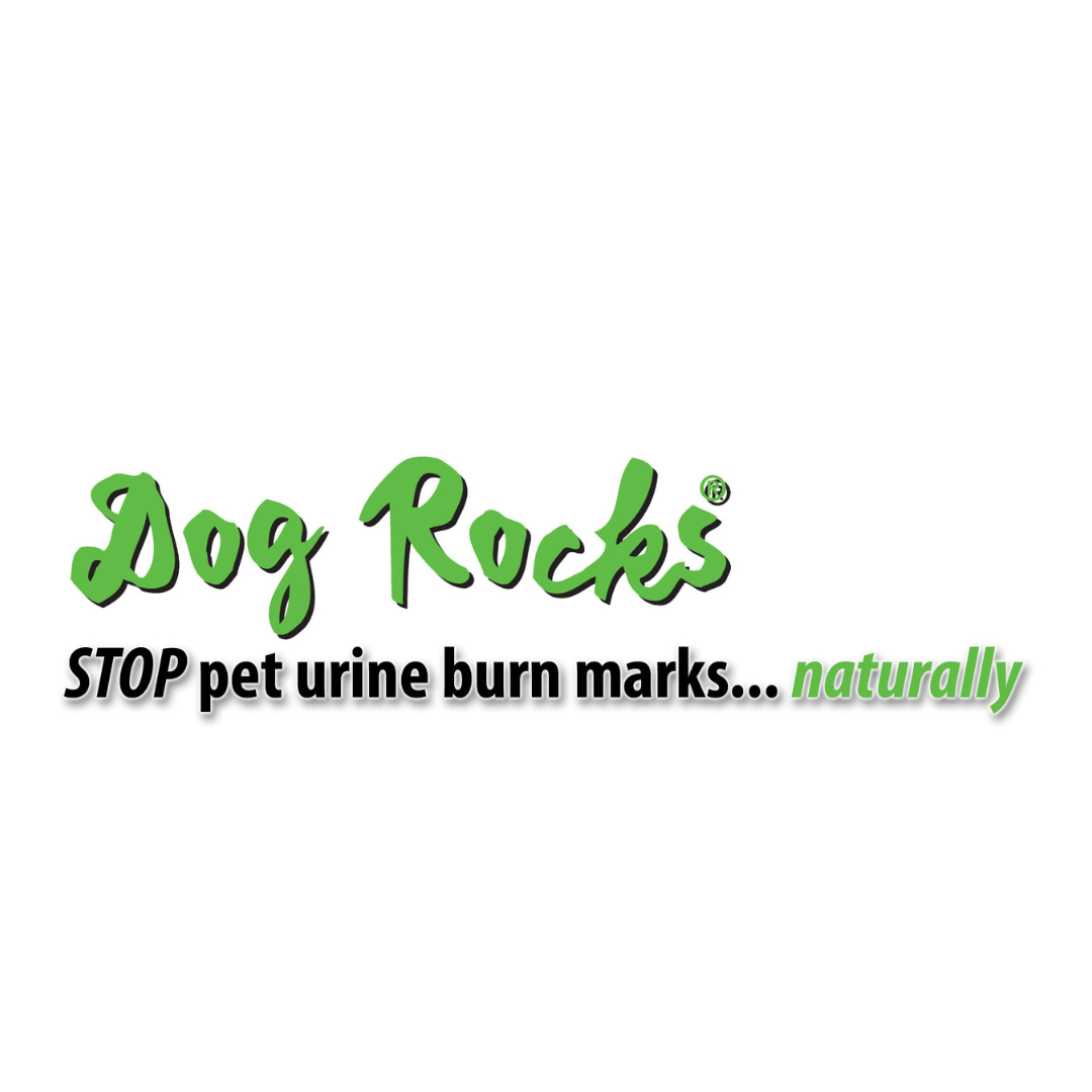 DR Website Logo2 .png