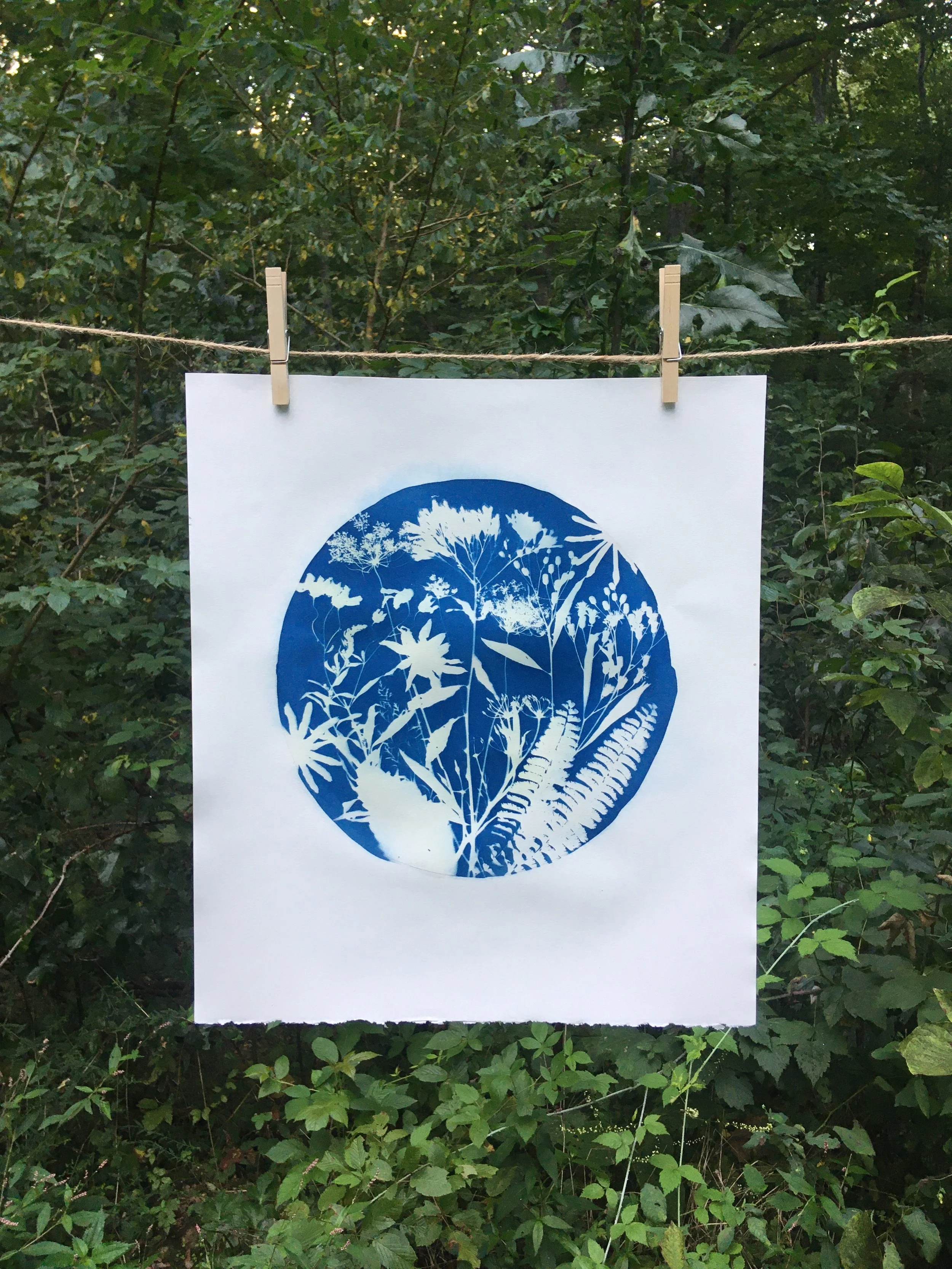 Meadow Portrait 2.JPG